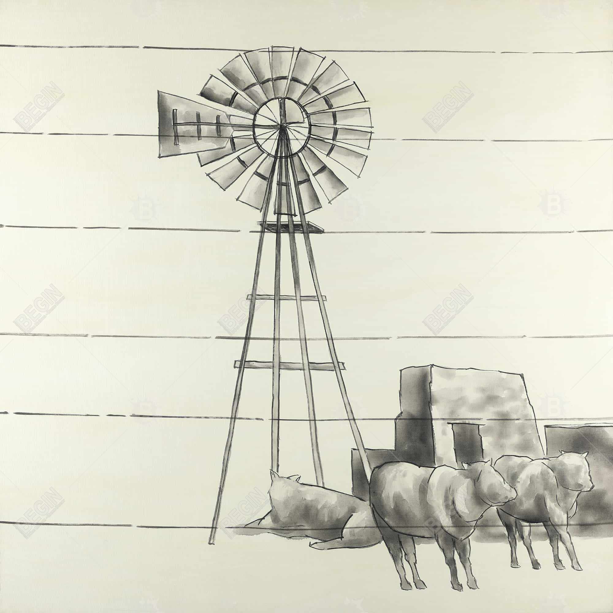 Vintage old texas windmill