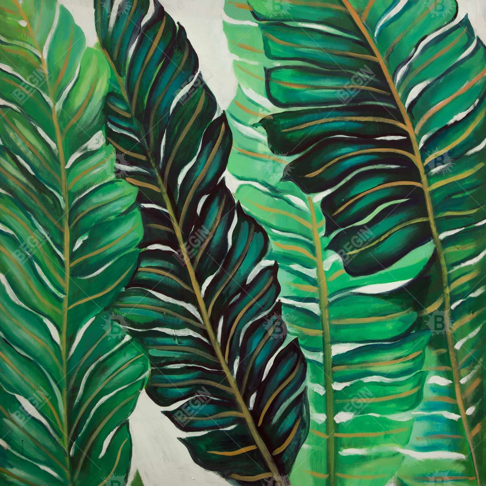 Several exotic plant leaves