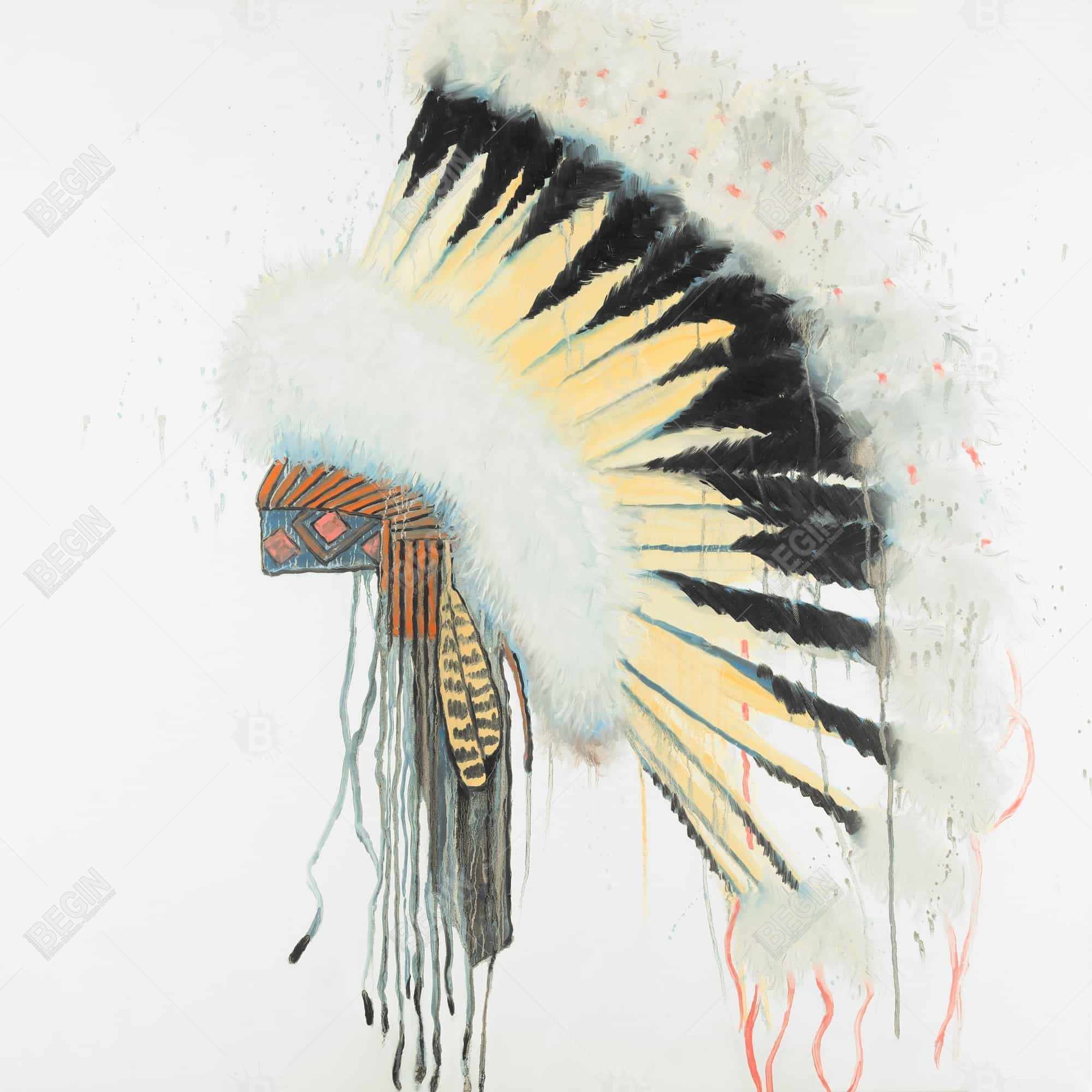 Amerindian headdress