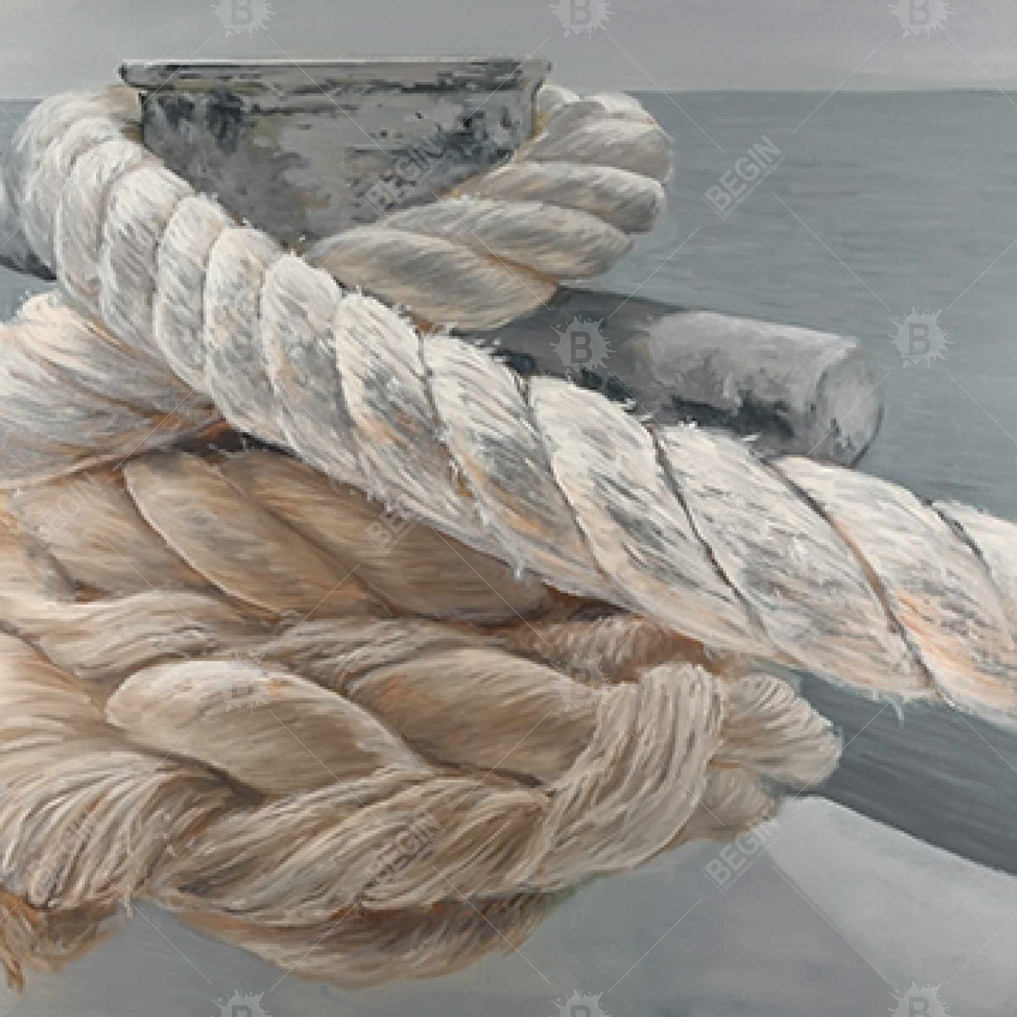 Tie-down ropes closeup