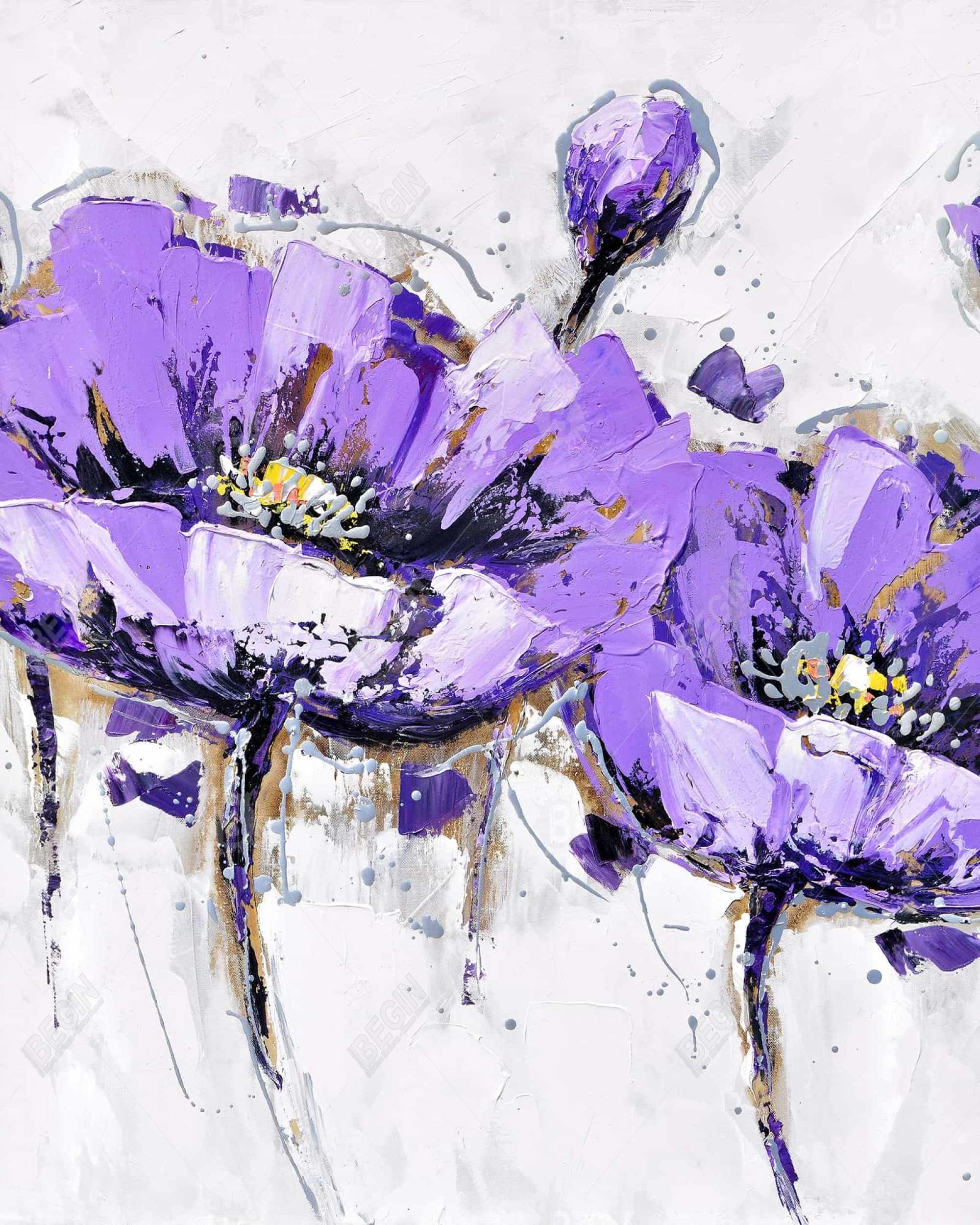 Purple anemone flowers