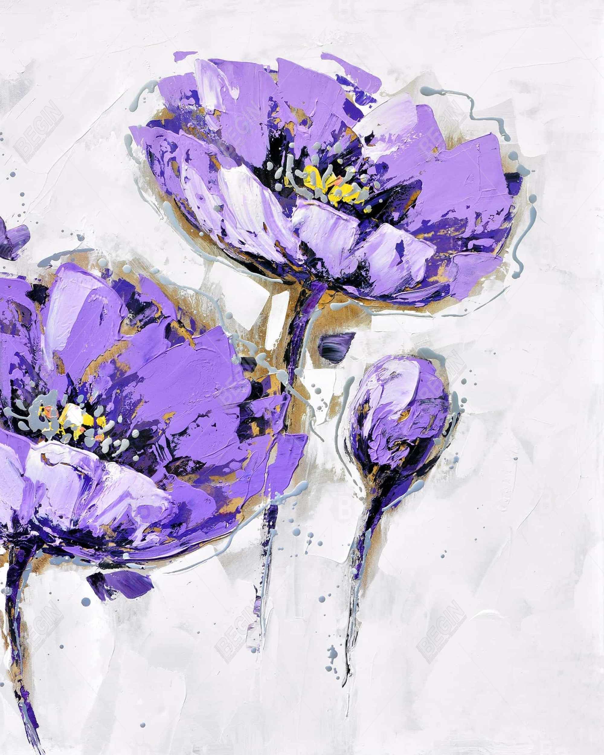 Purple anemones