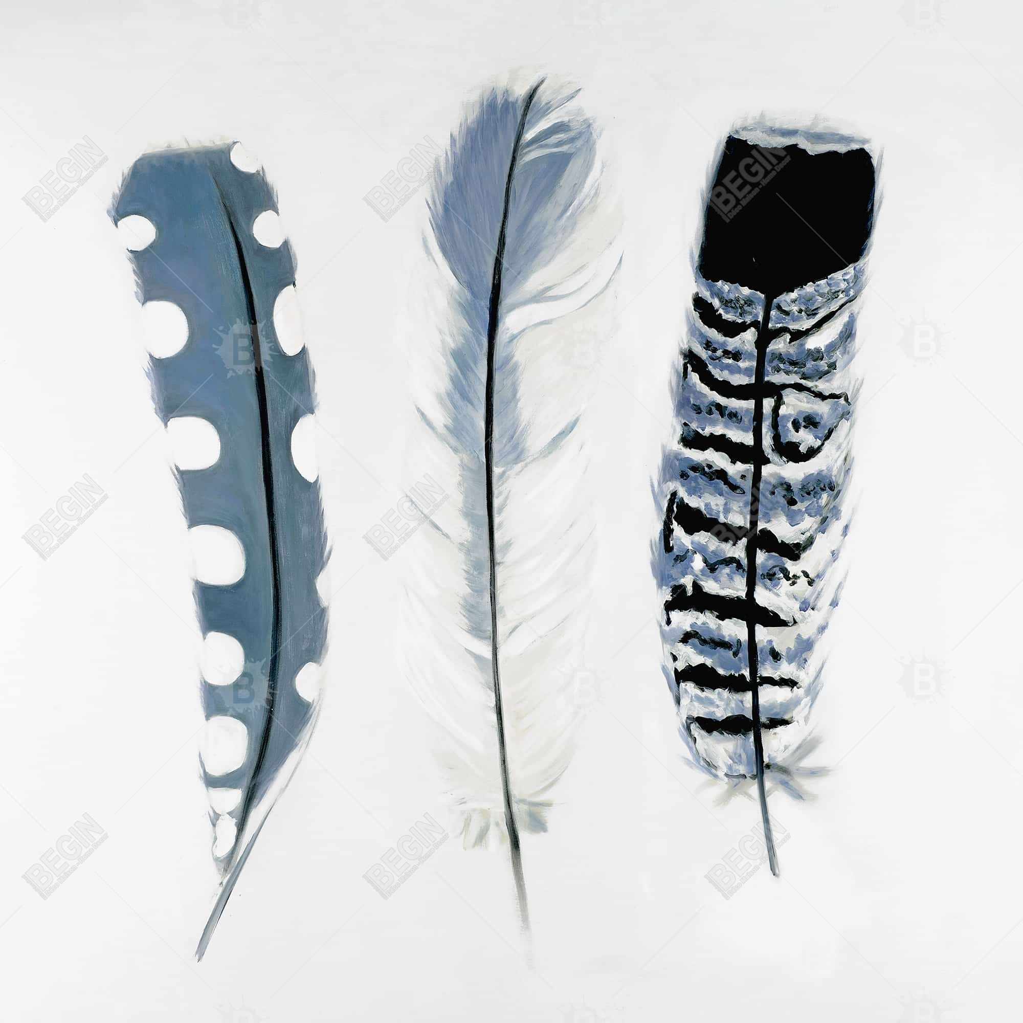 Delicate blue feathers