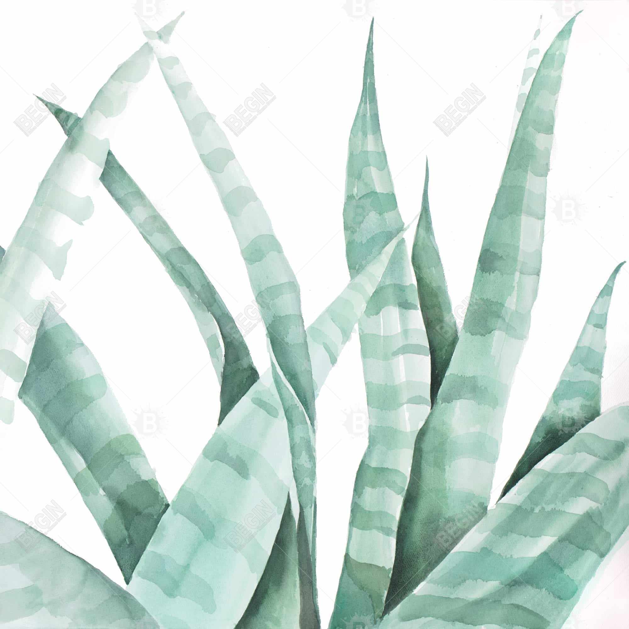 Watercolor striped desert plant