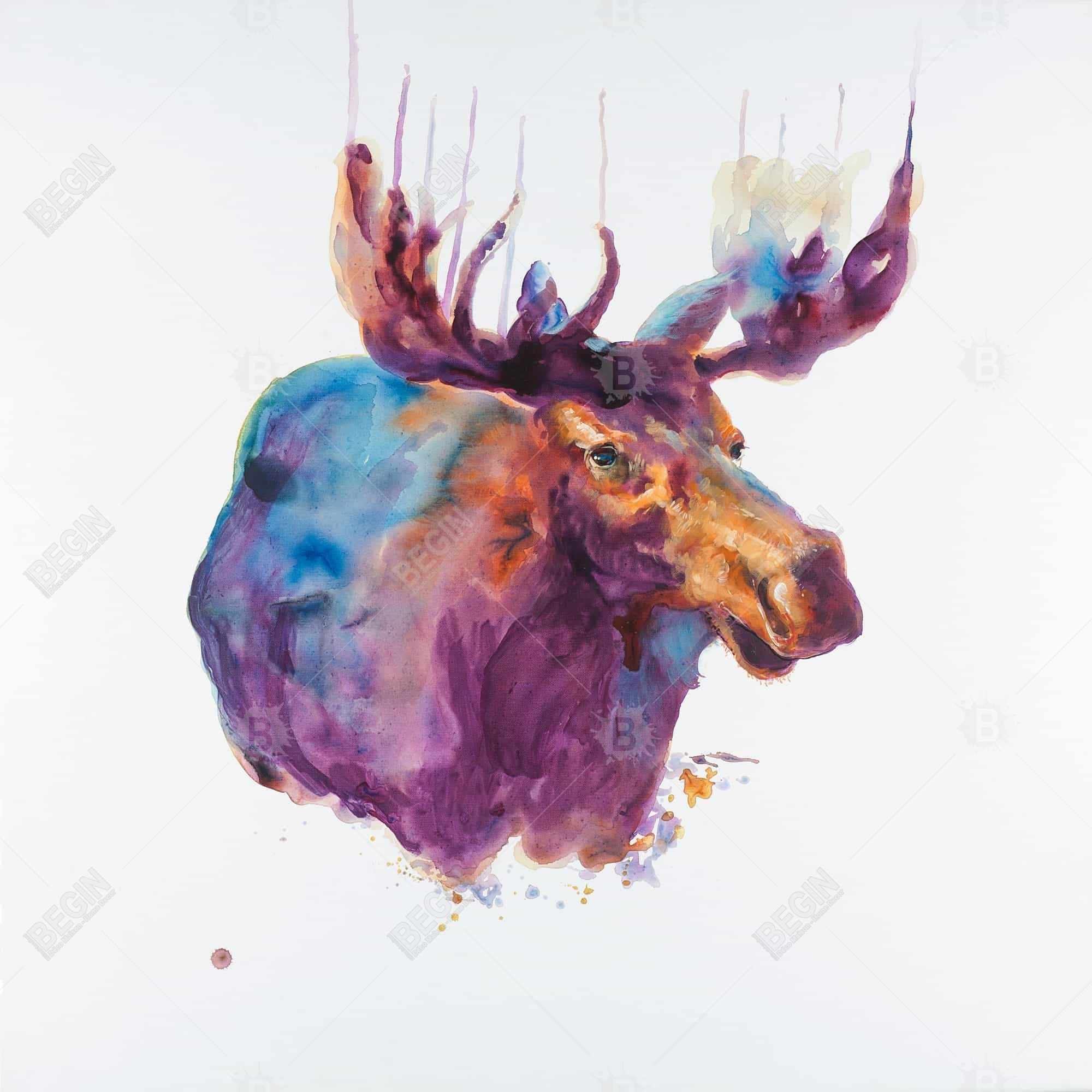 Abstract moose