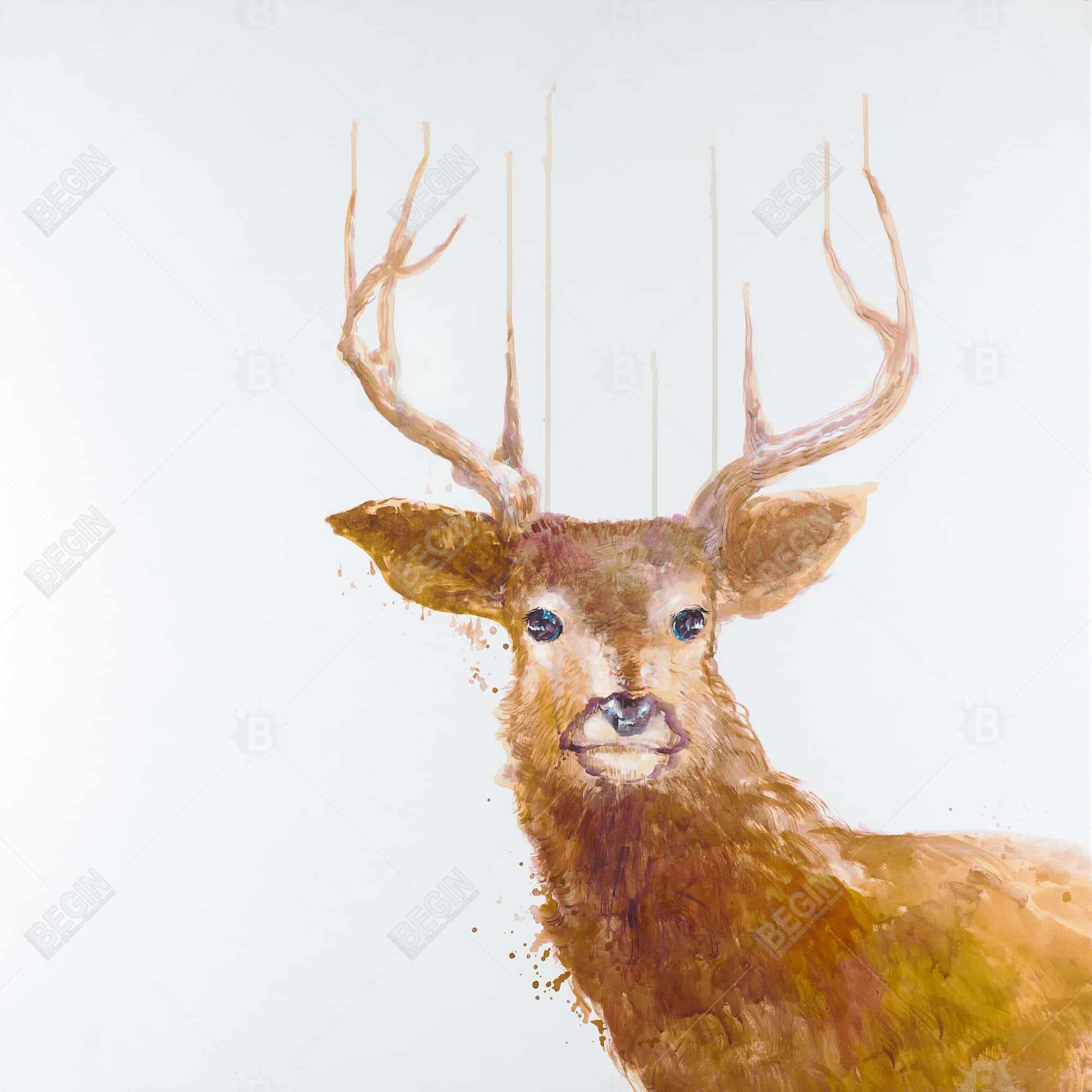 Abstract deer