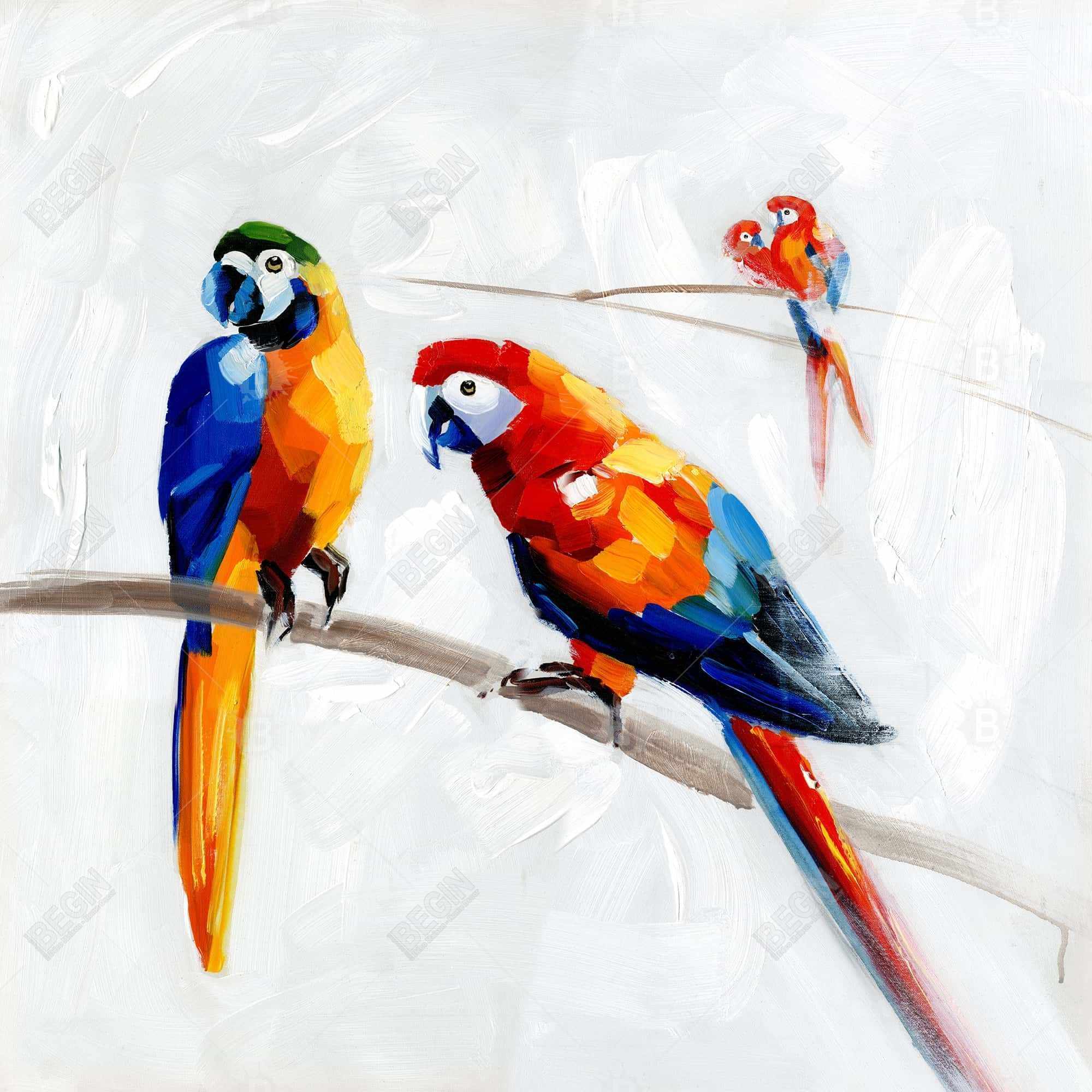 Parrots on a branch