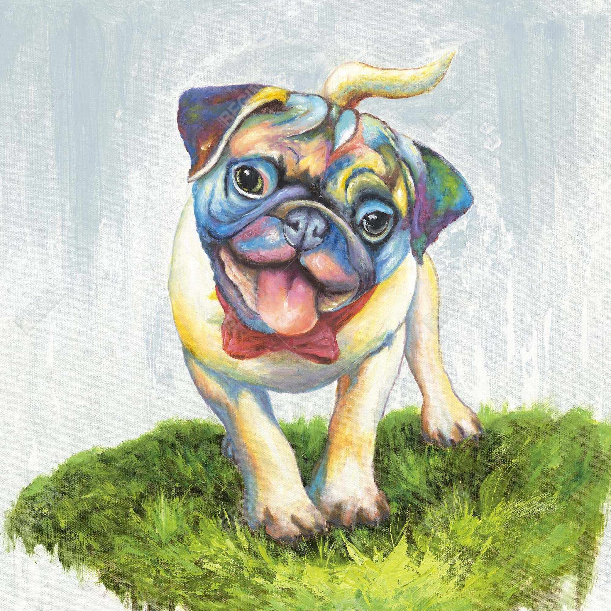 Pug coloré et souriant
