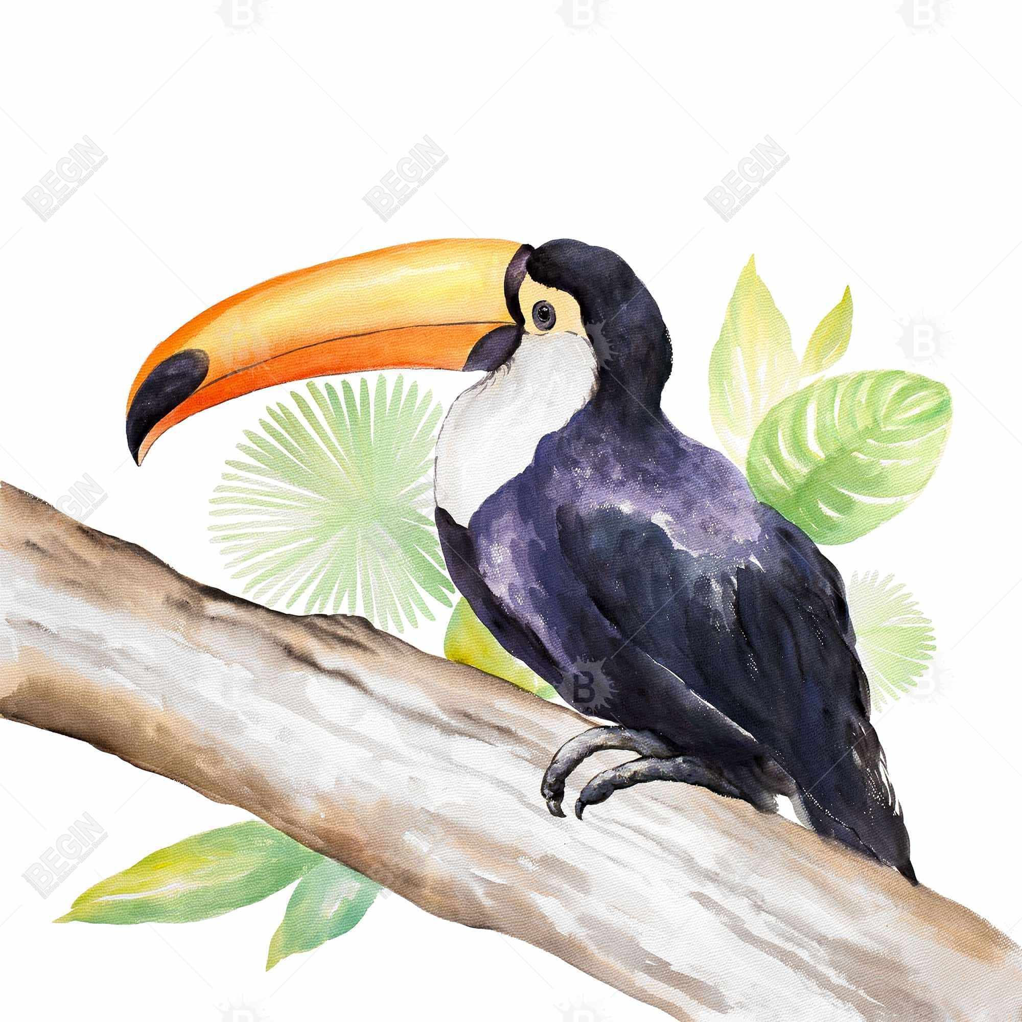 Toucan perched 