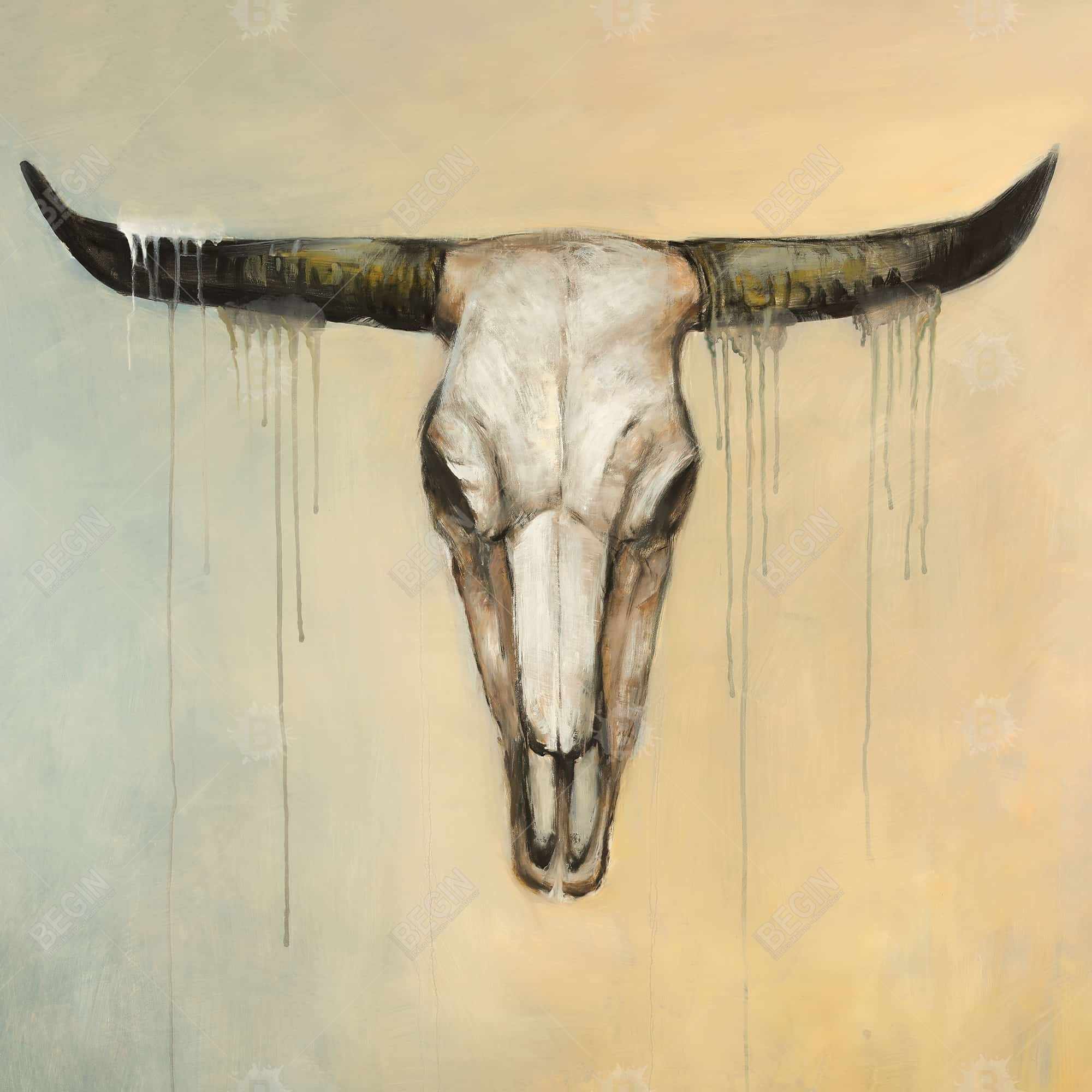 Bull skull