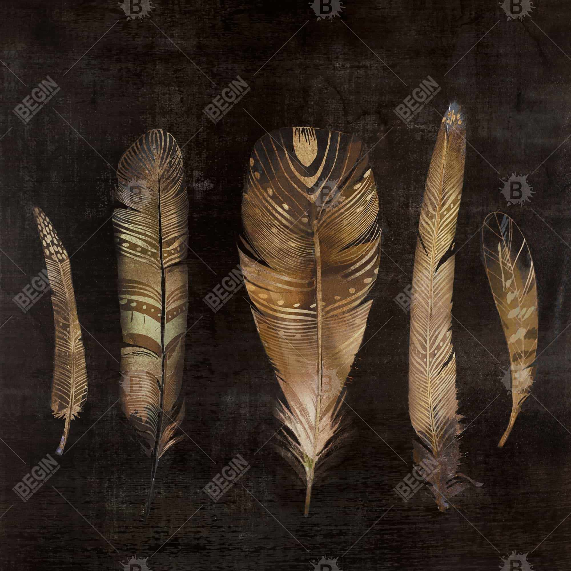 Ensemble de plumes brunes