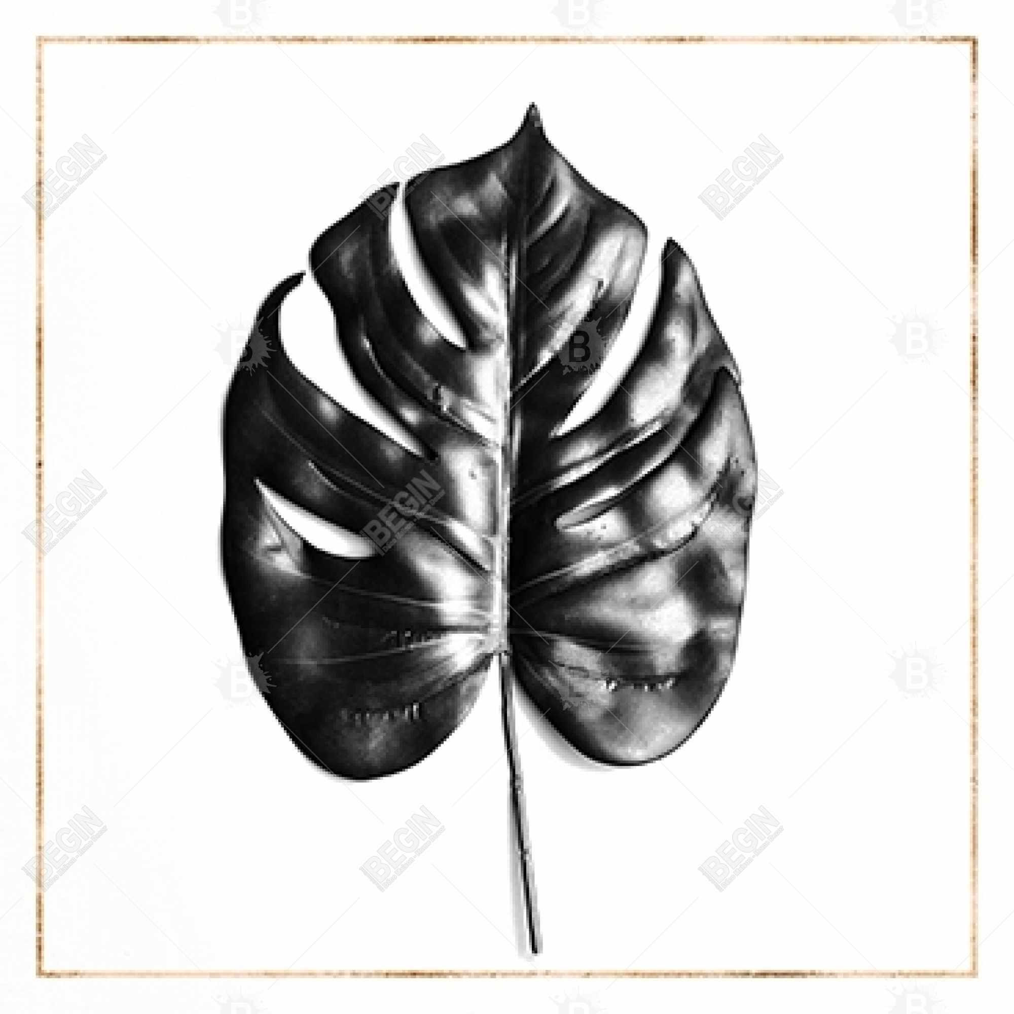 Split leaf philodendron with gold lines