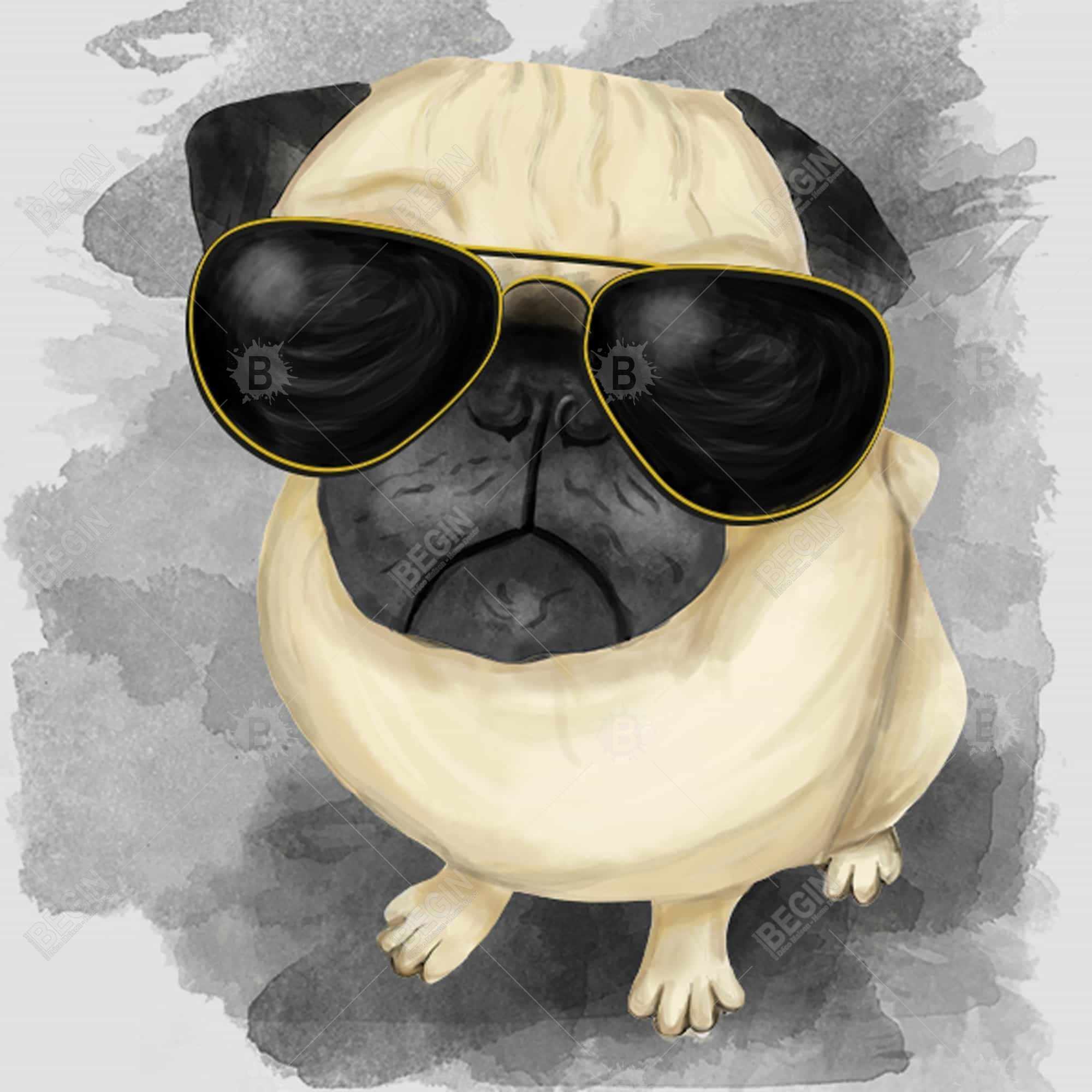 Pug with style