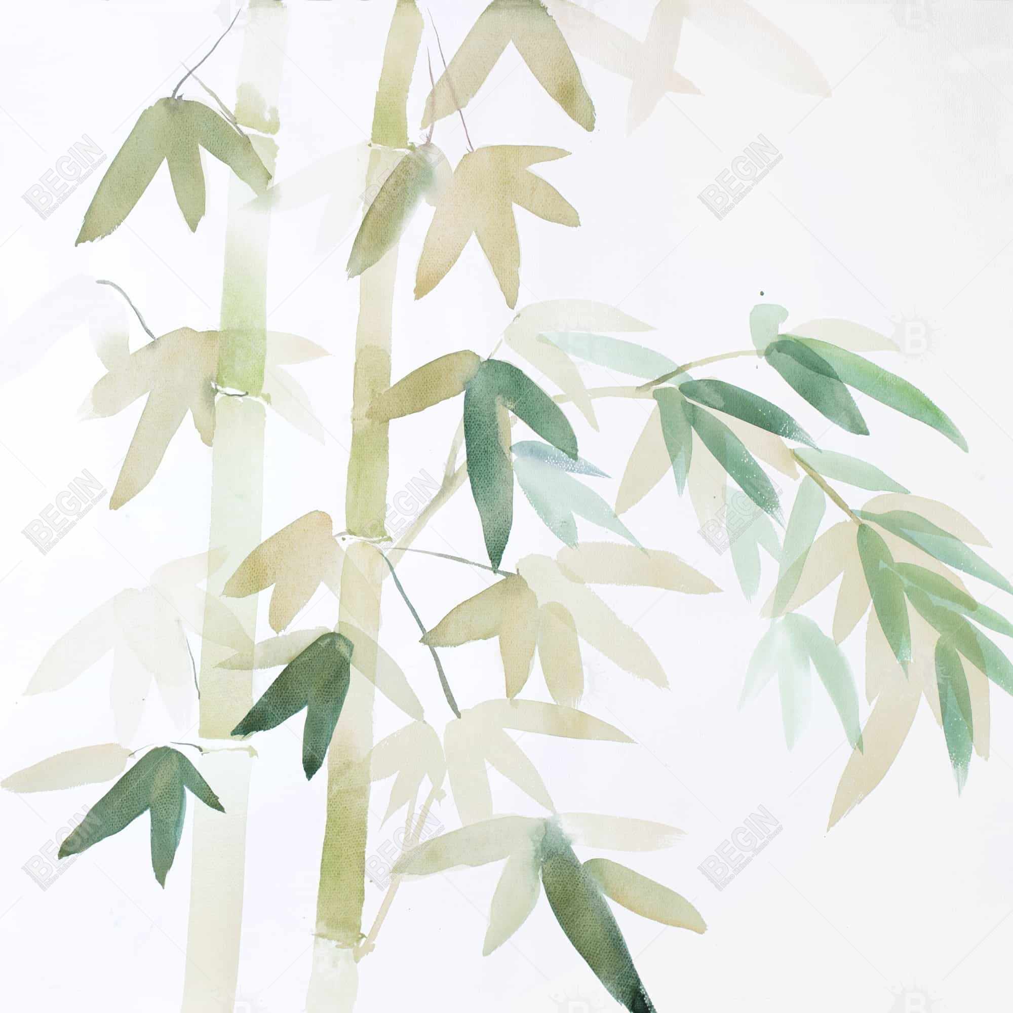 Watercolor bamboo leaves and branches