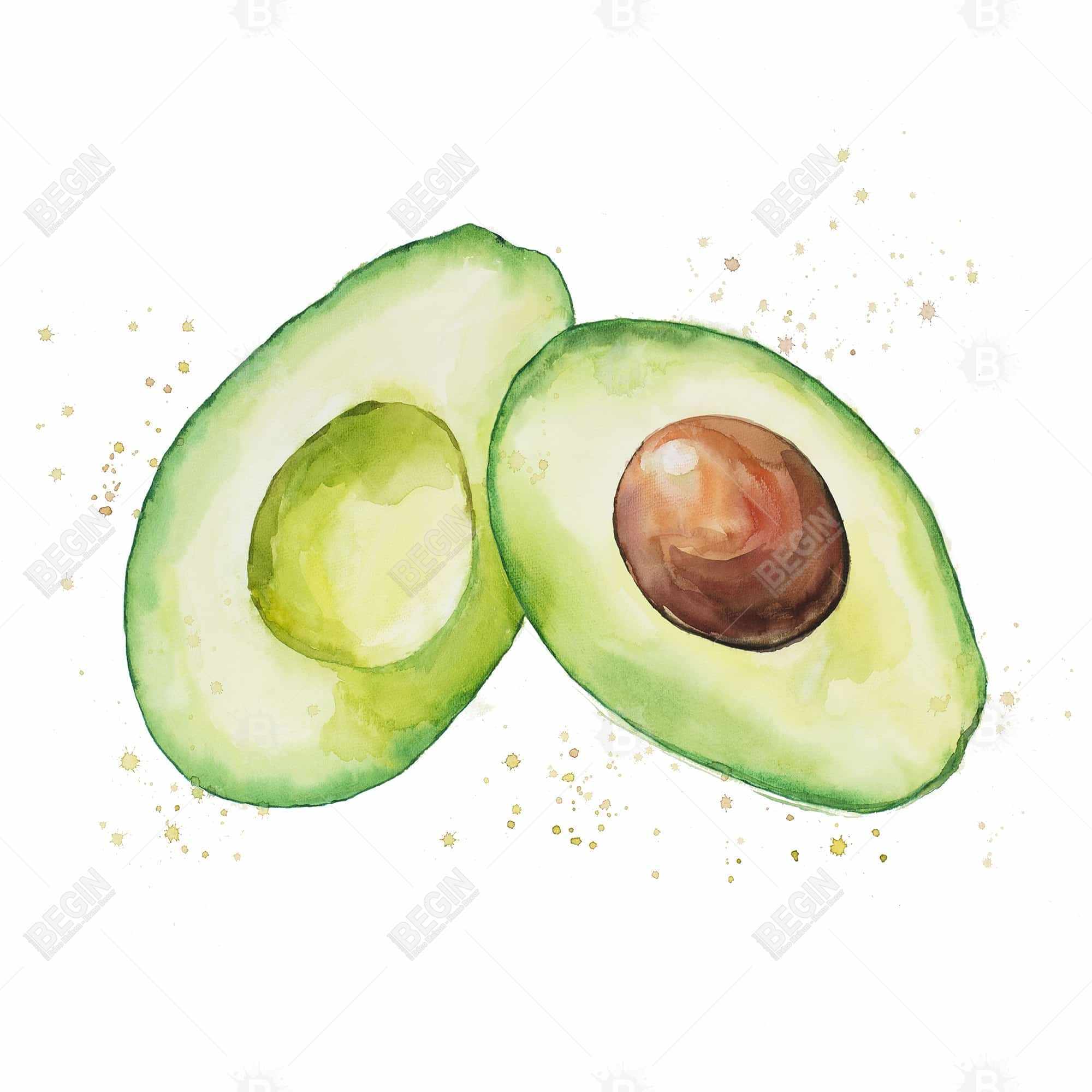 Avocat ouvert à l'aquarelle
