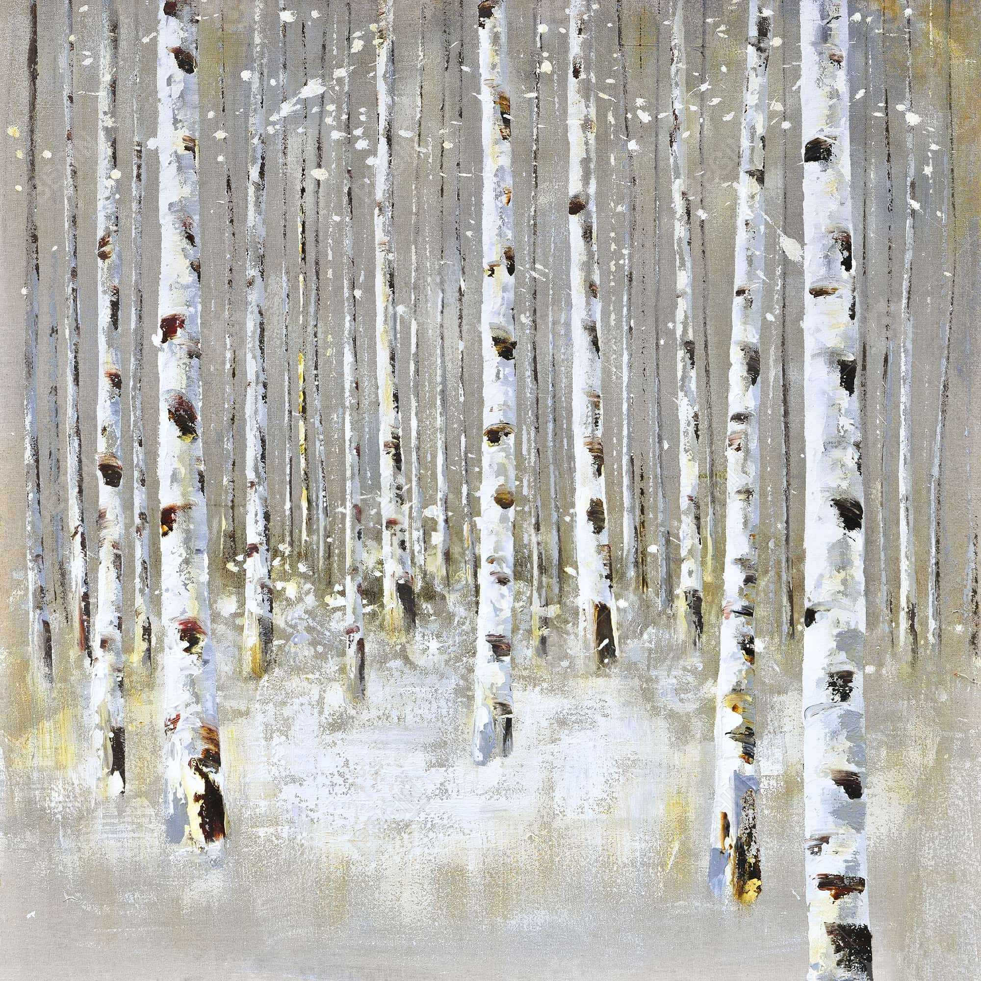 Forêt de bouleaux en hiver