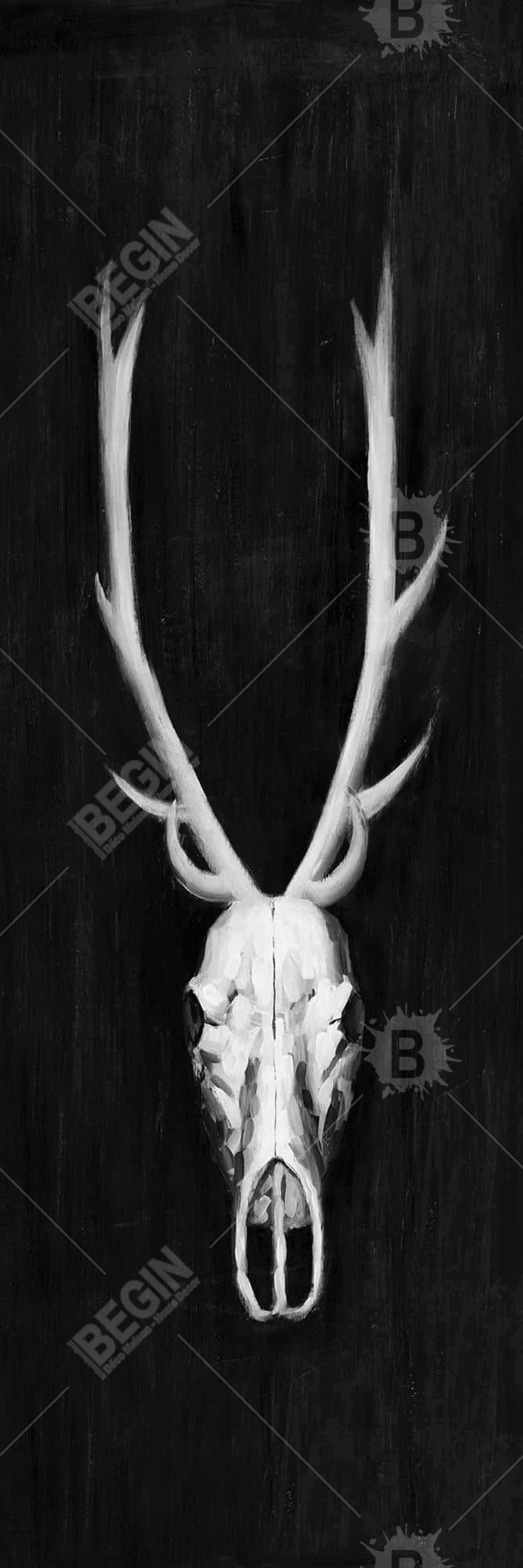 Deer skull on black background