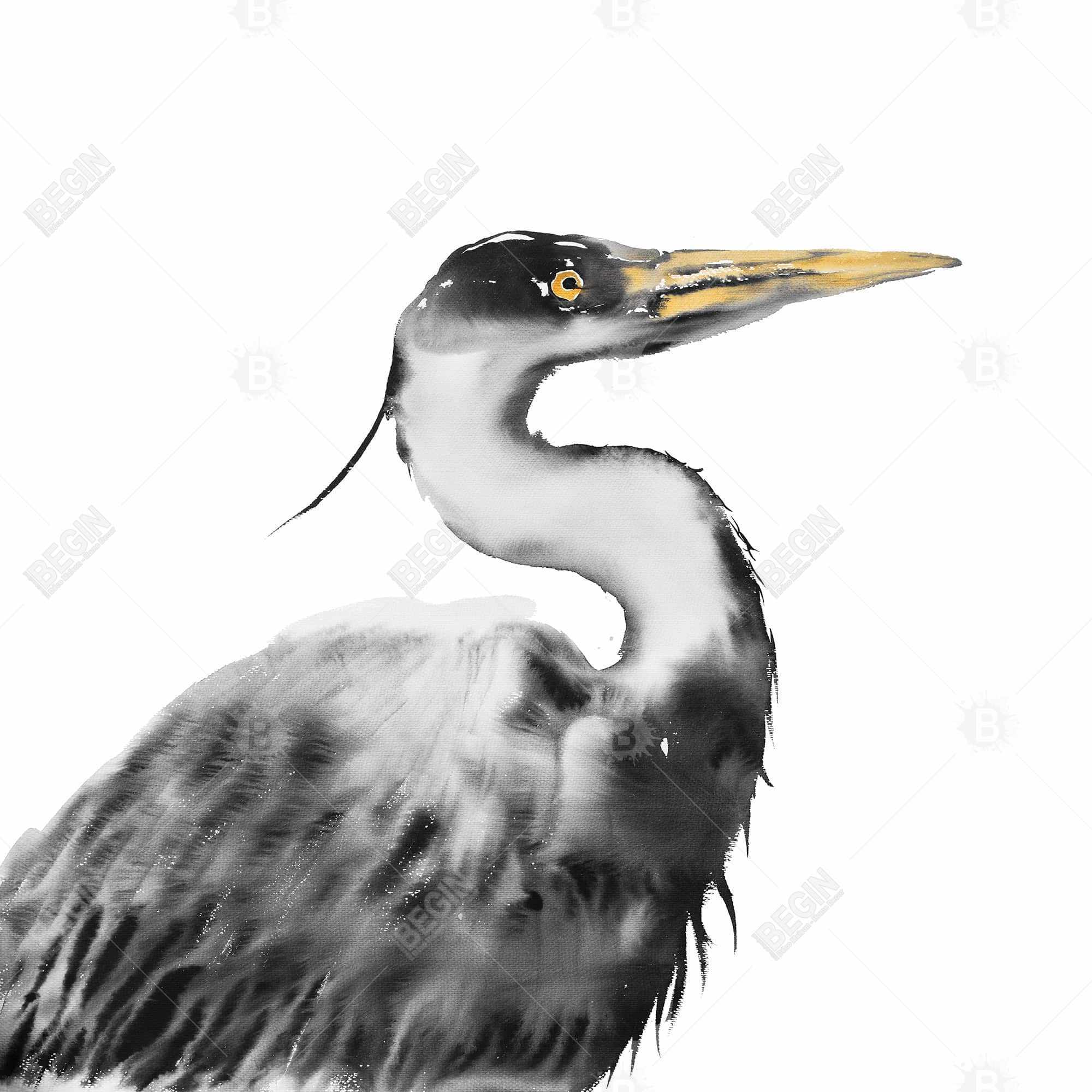 Great heron