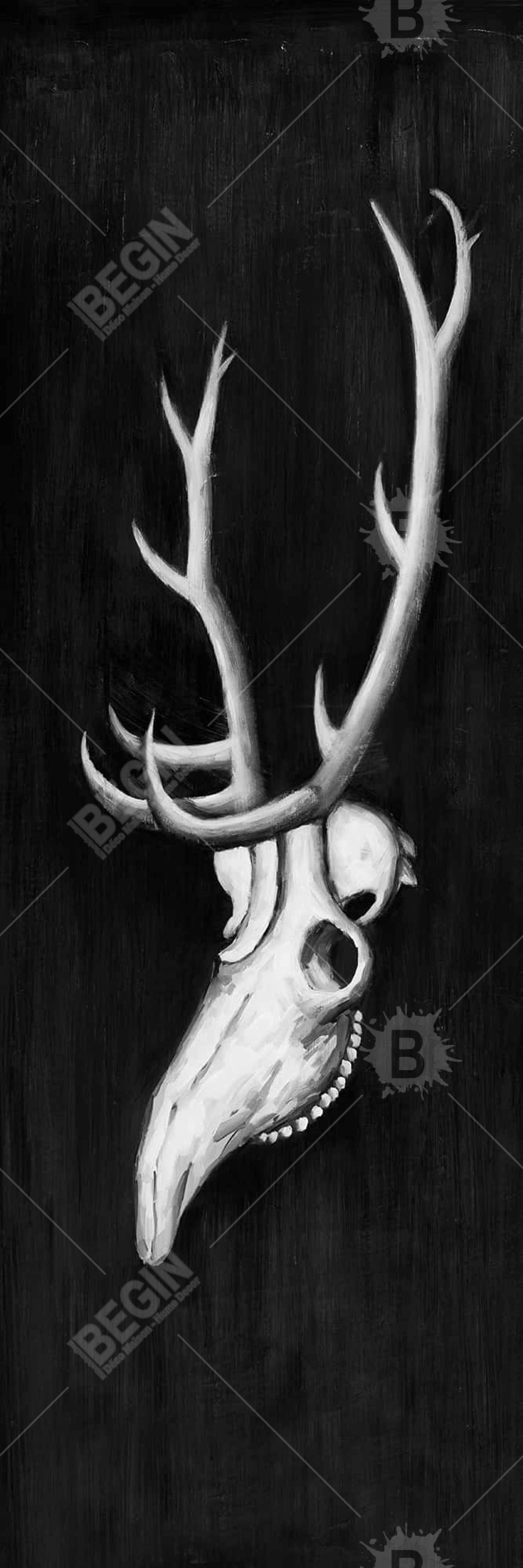 Deer skull in the dark