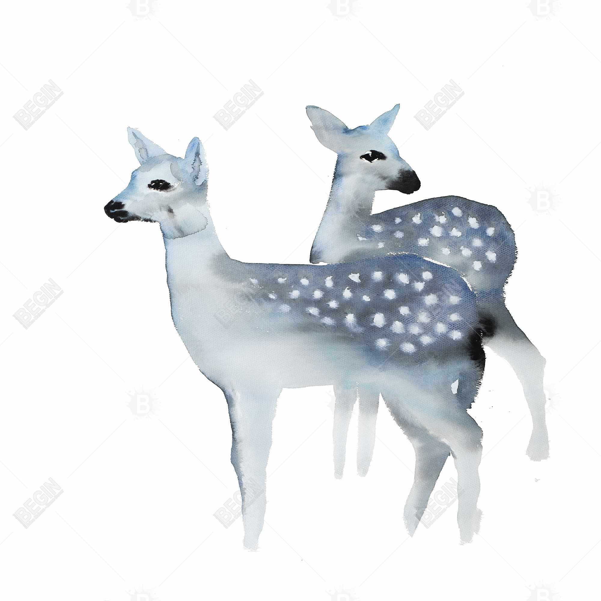 Blue fawns