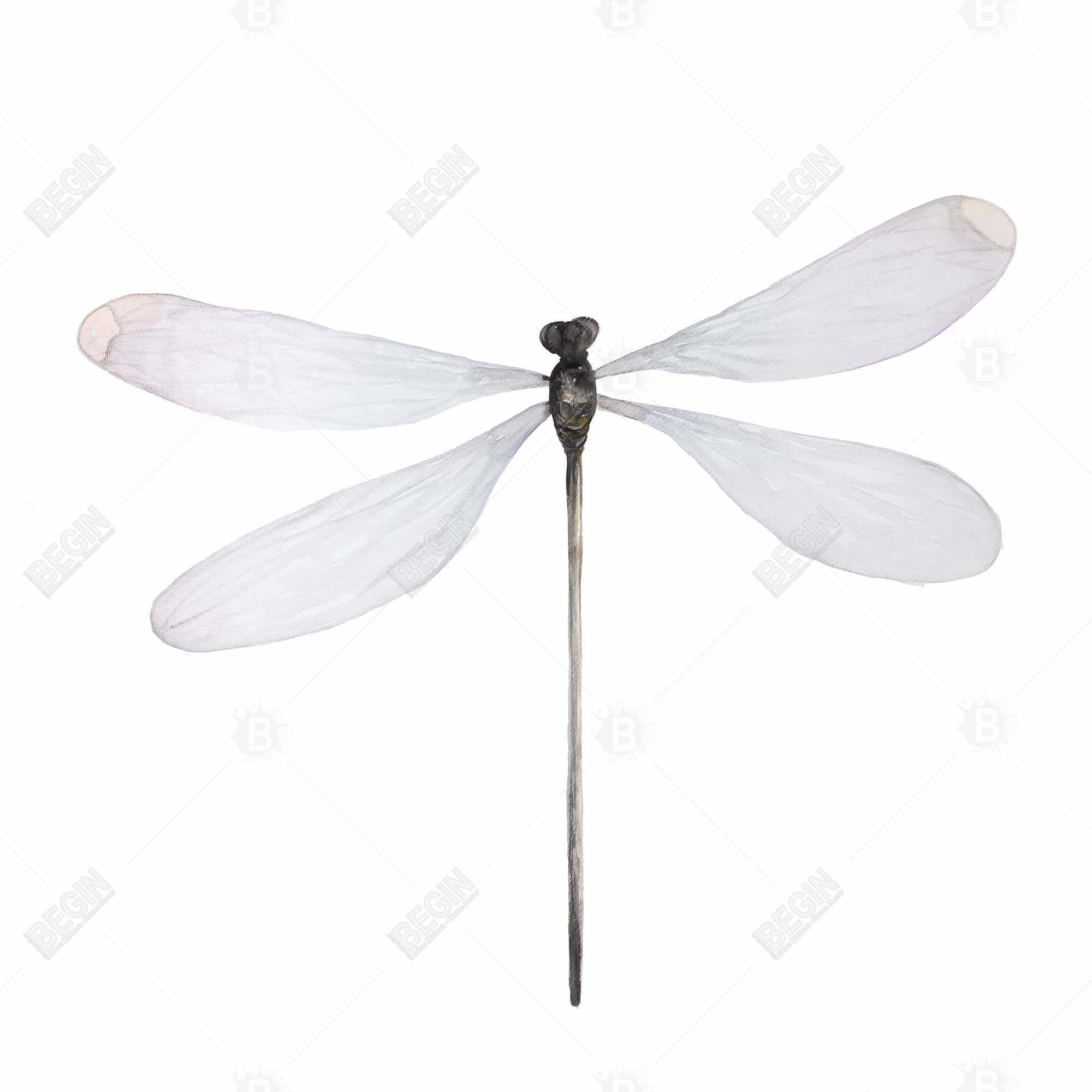 Minimalist dragonfly