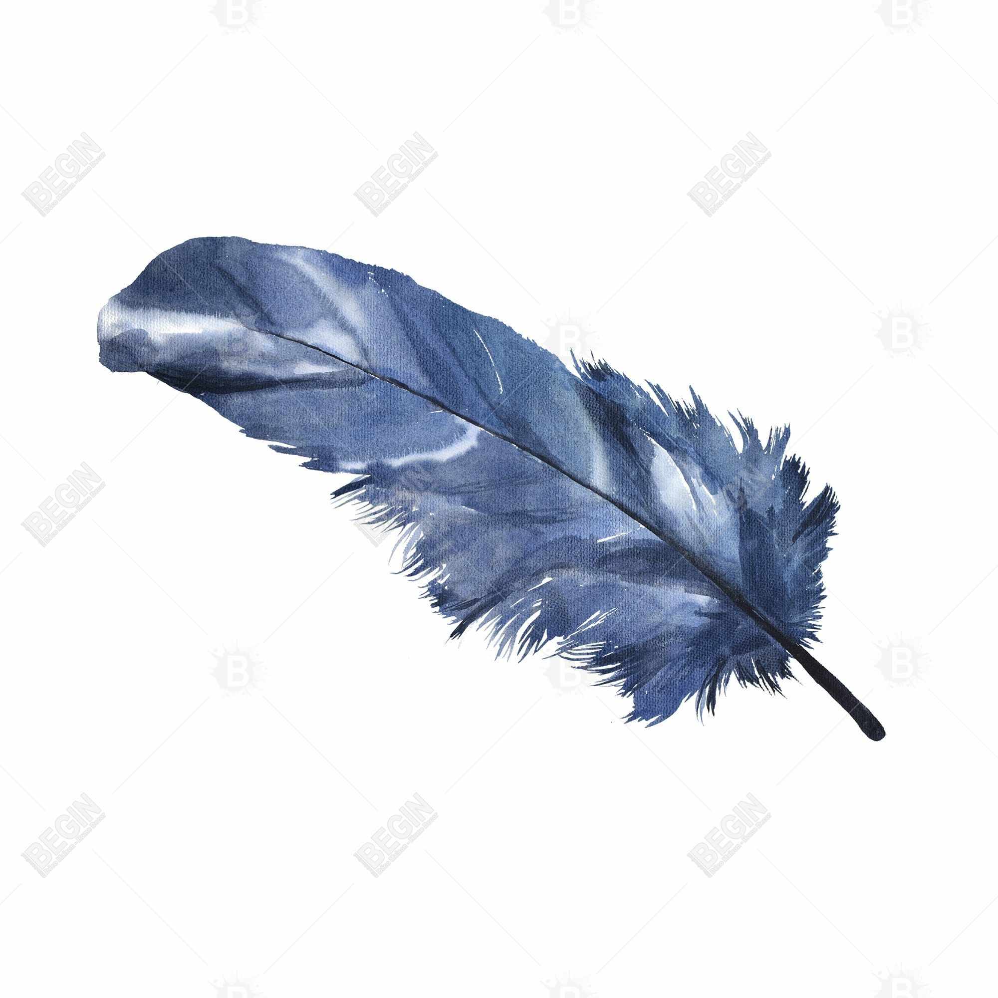 Plume bleue