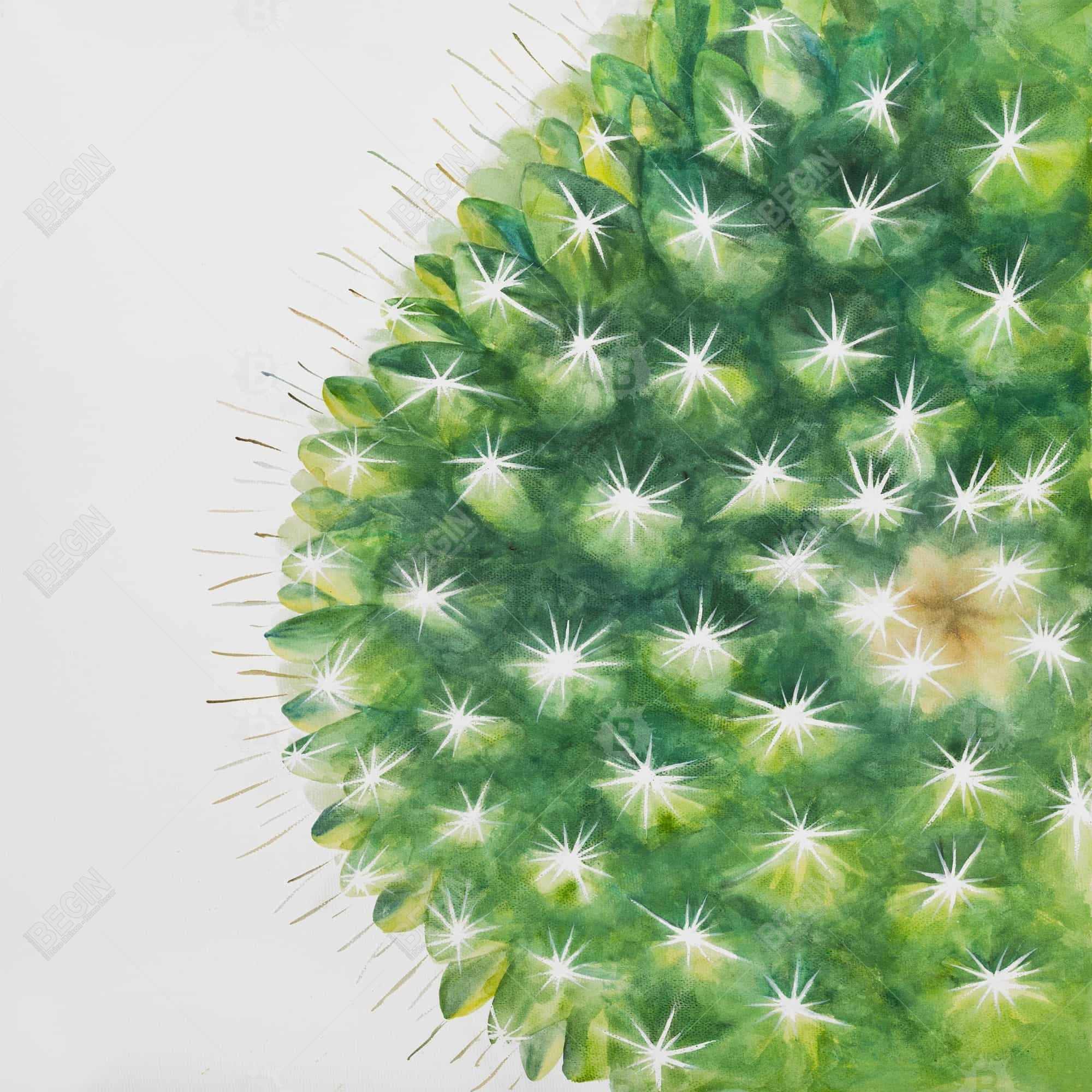Watercolor mini cactus