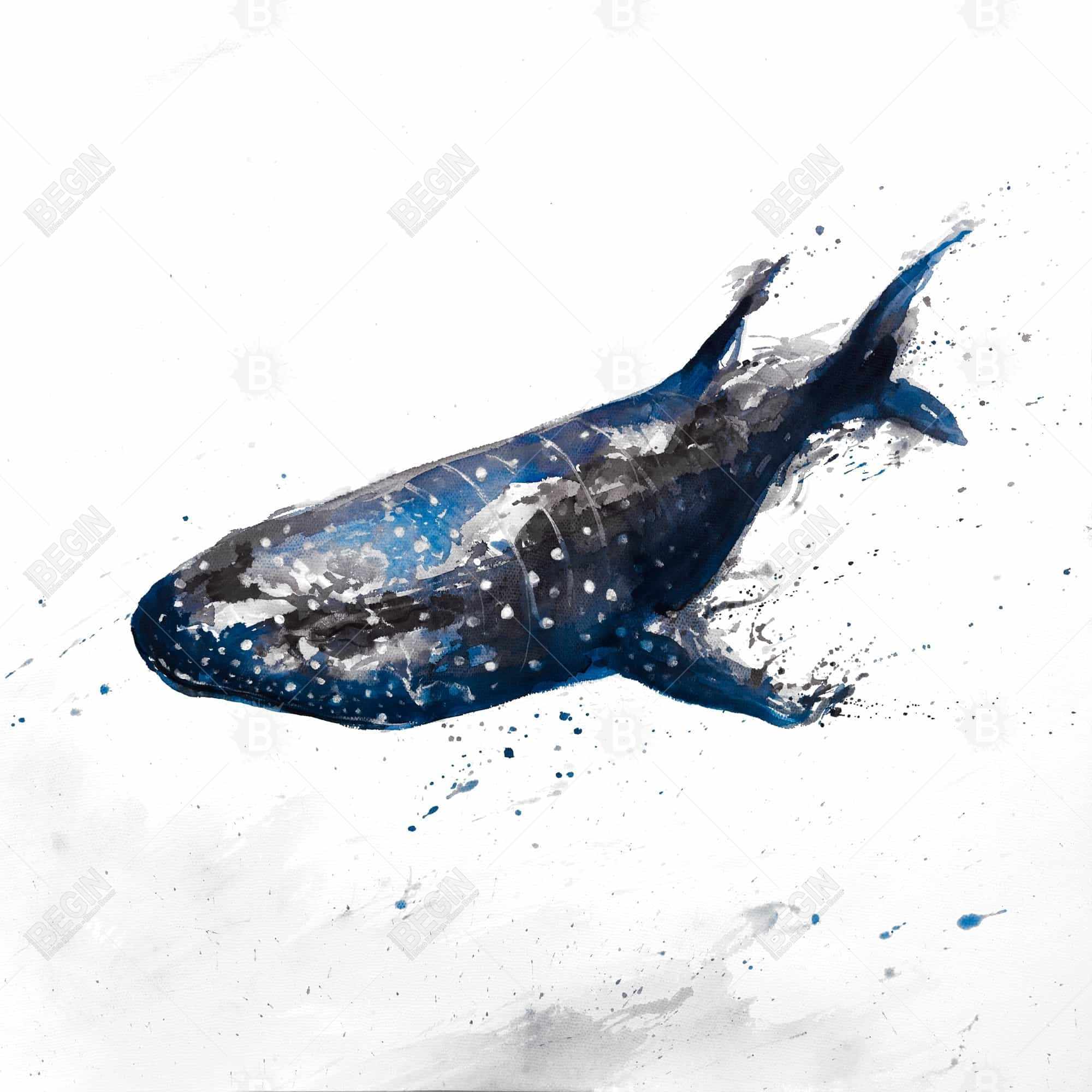 Abstract whale shark