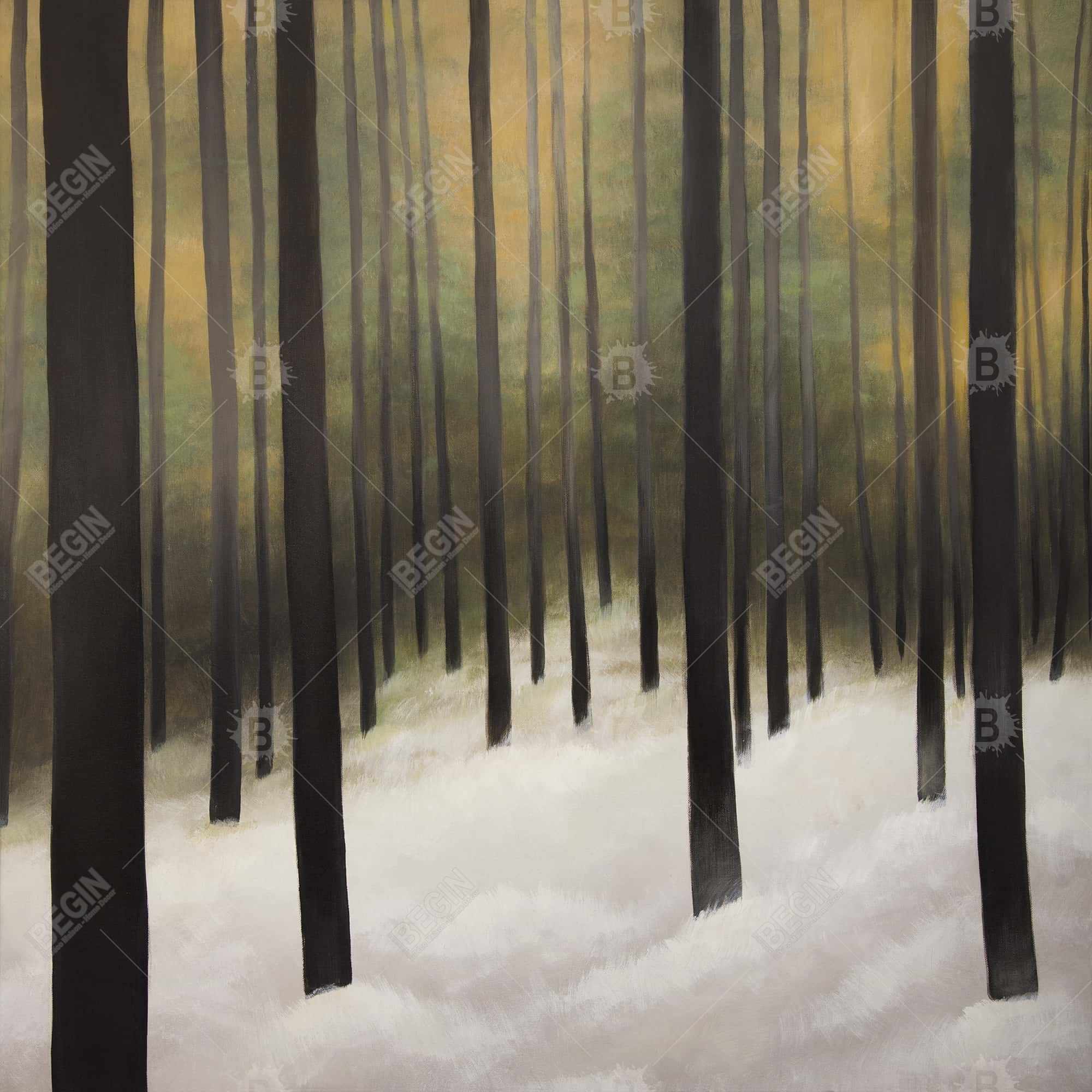 Forêt silencieuse