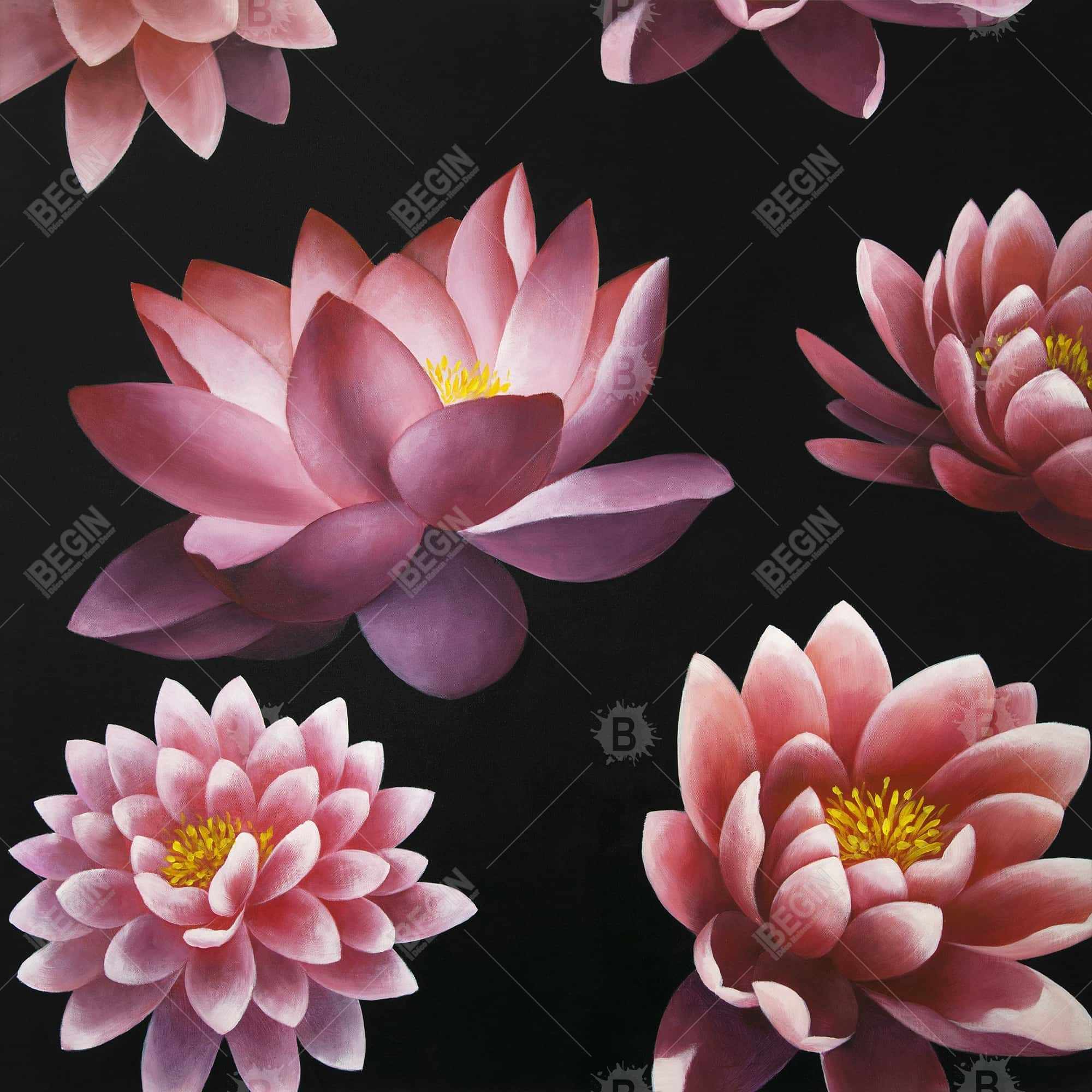 Motif de fleur de lotus