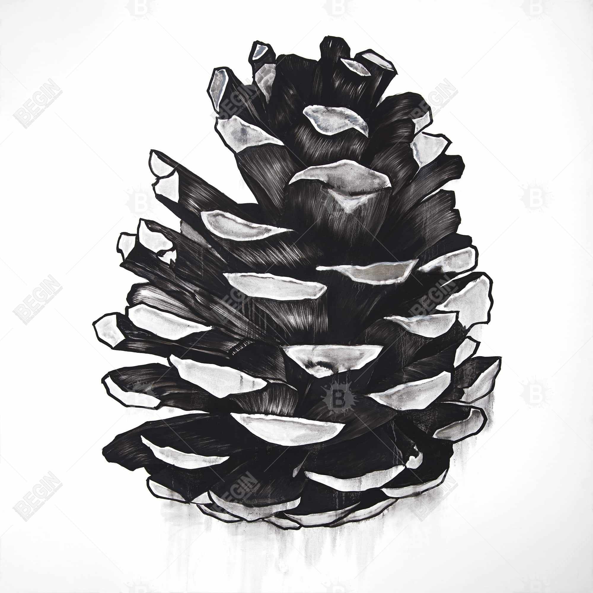 Pine cone