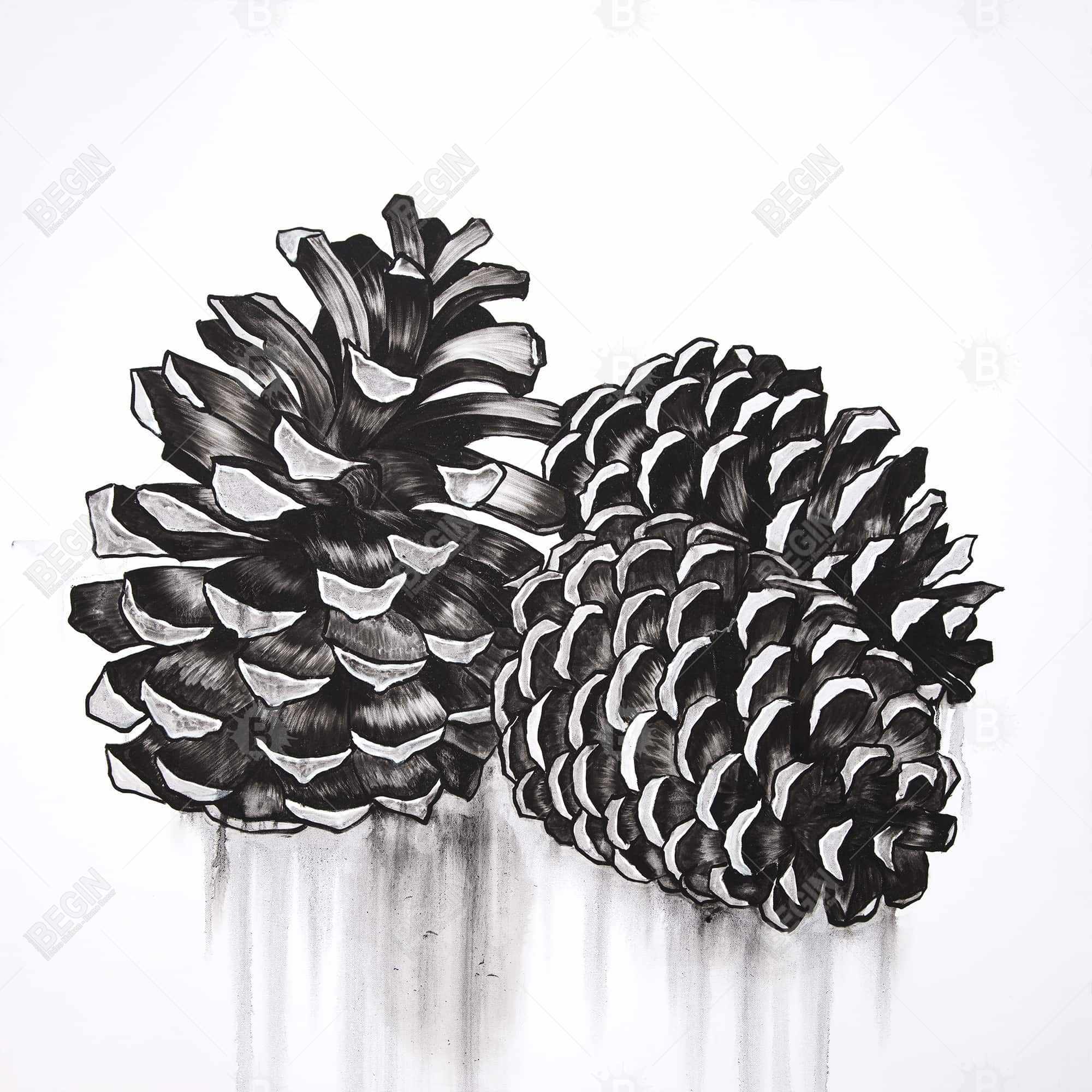 Three small pine cones