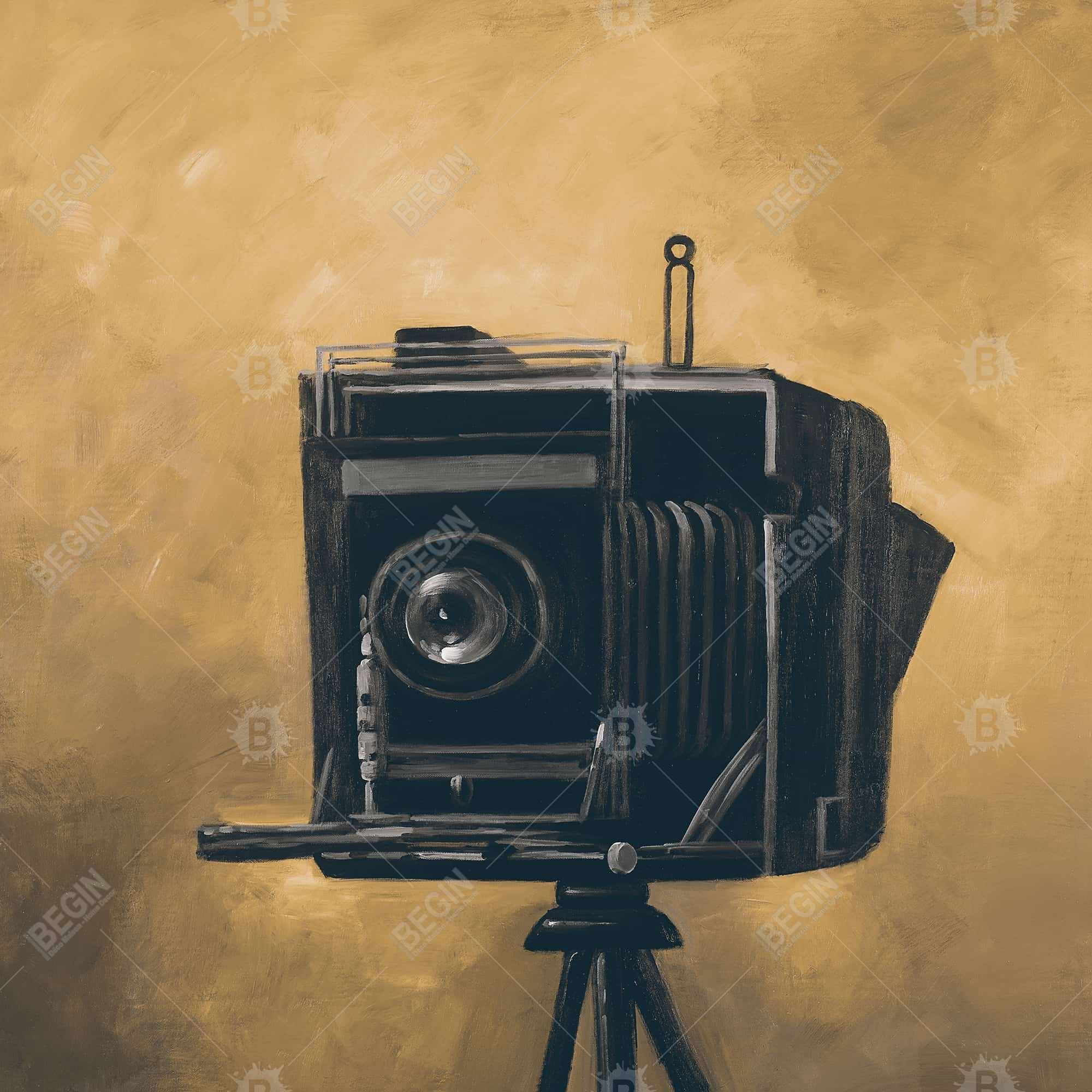 Vintage camera
