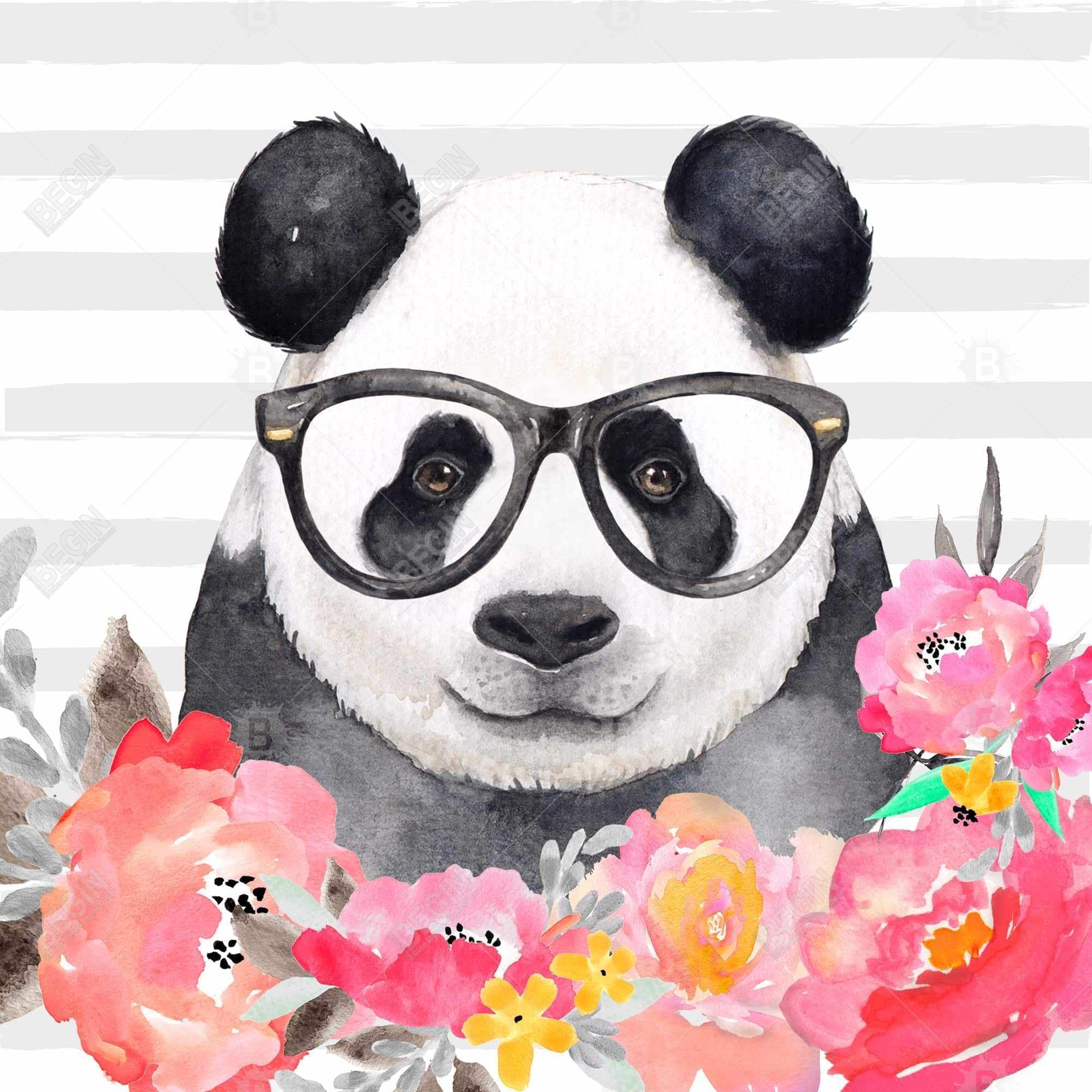 Panda with glasses