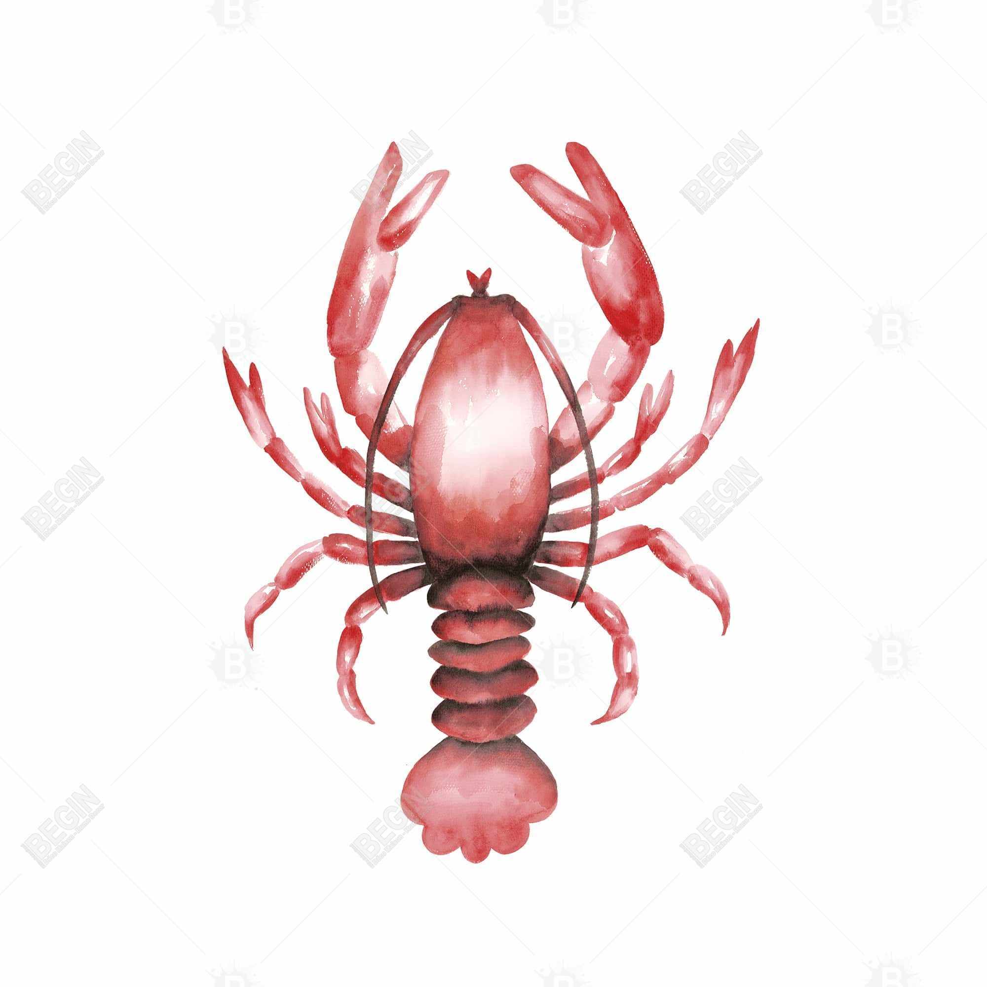 Homard
