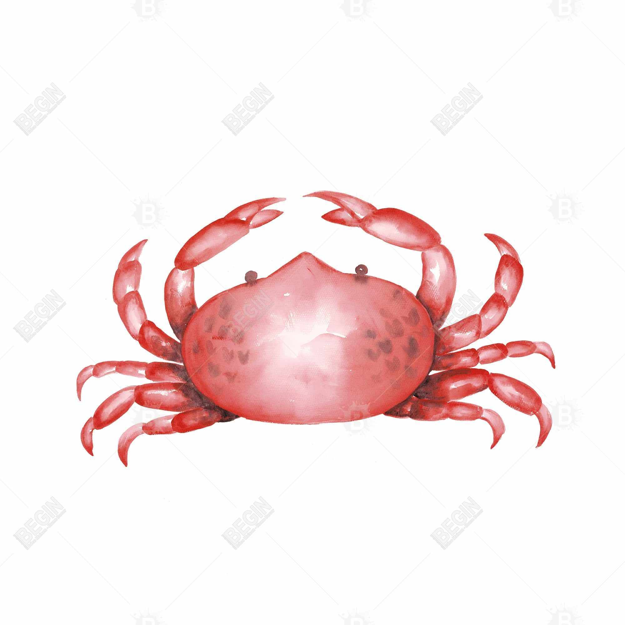 Crabe