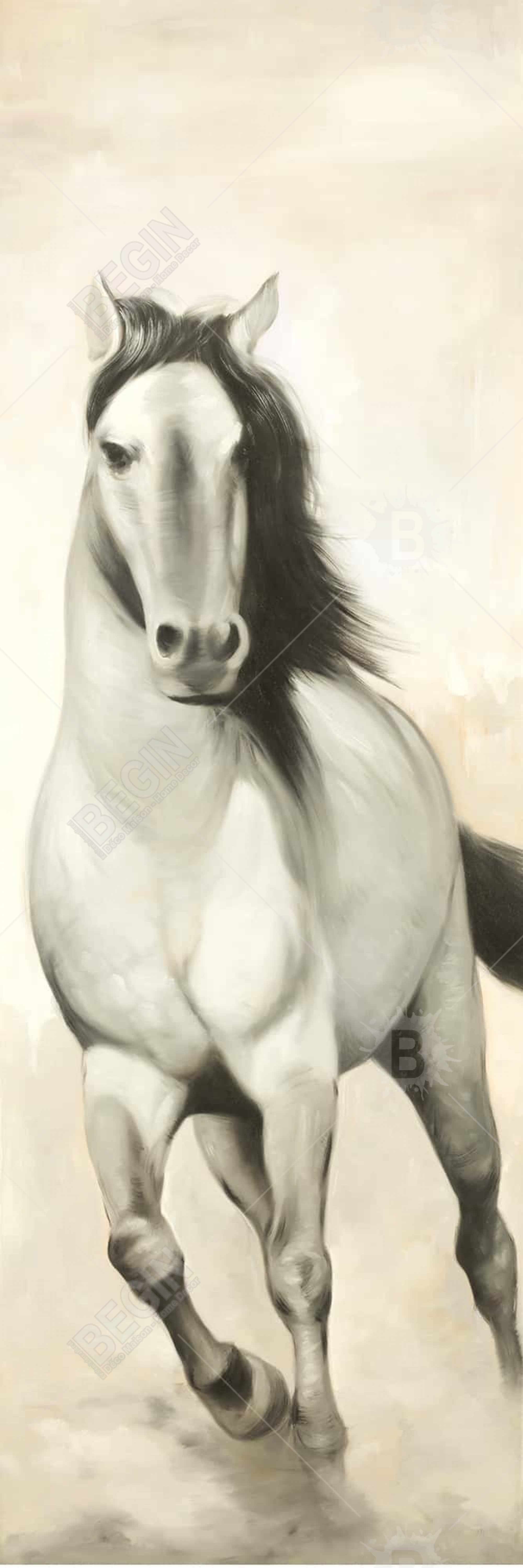 Graceful horse