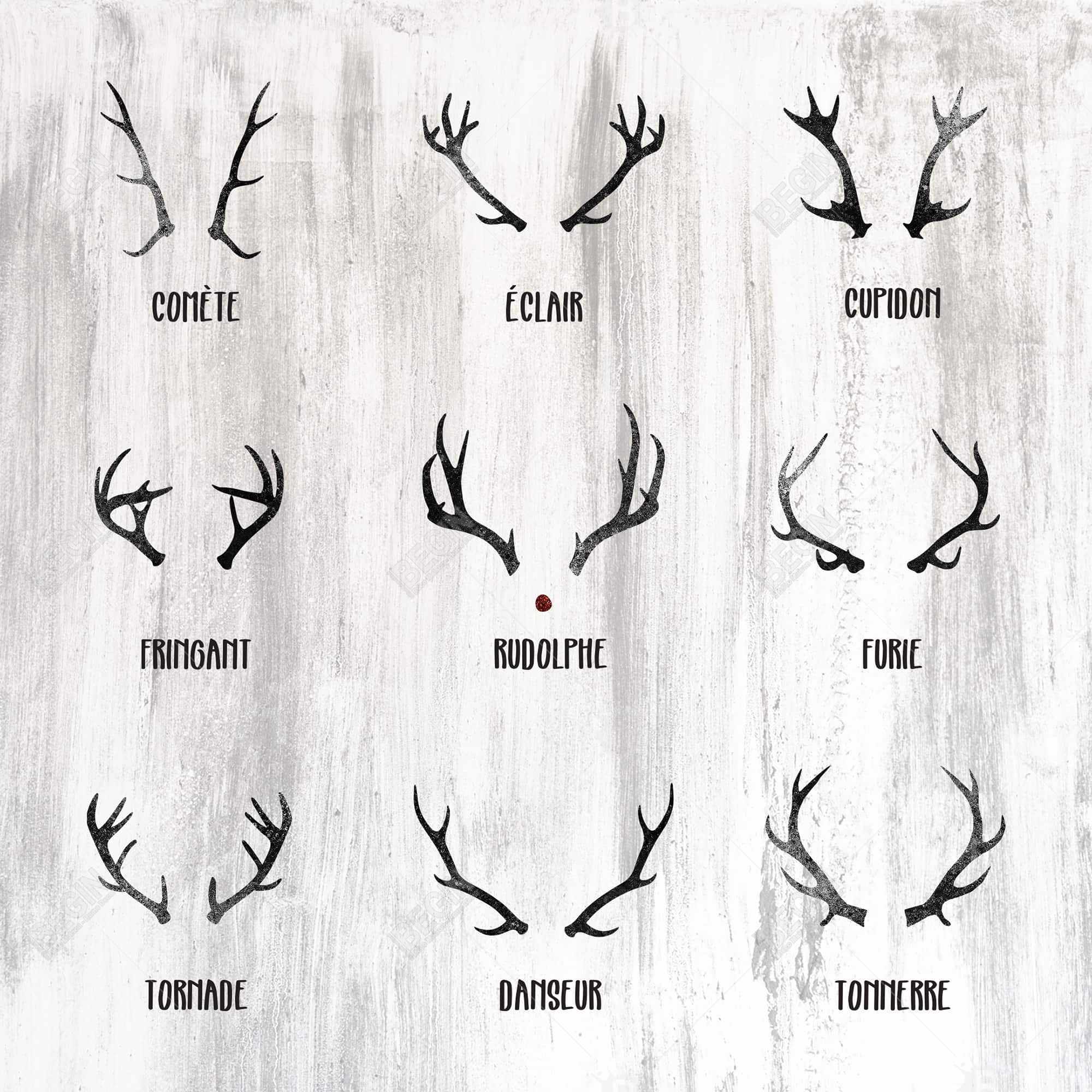 Santa claus reindeer
