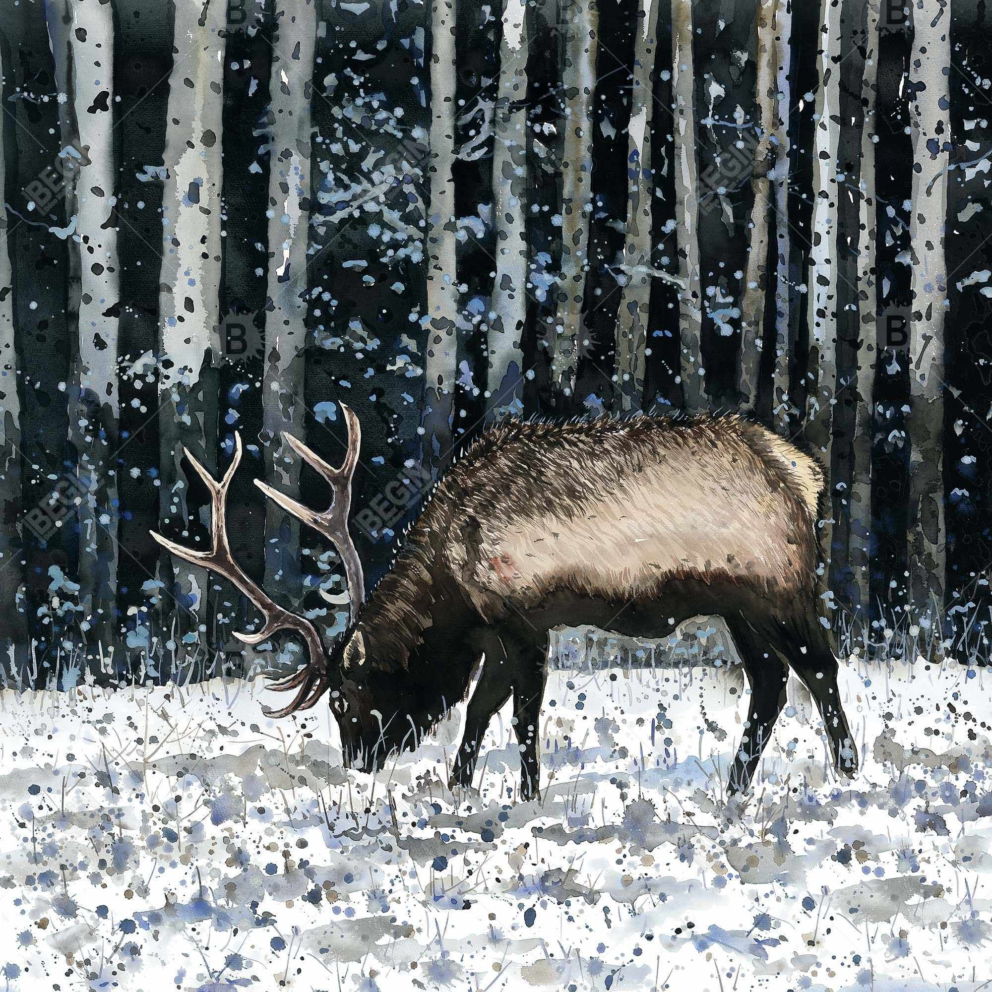 Caribou dans la forêt d'hiver