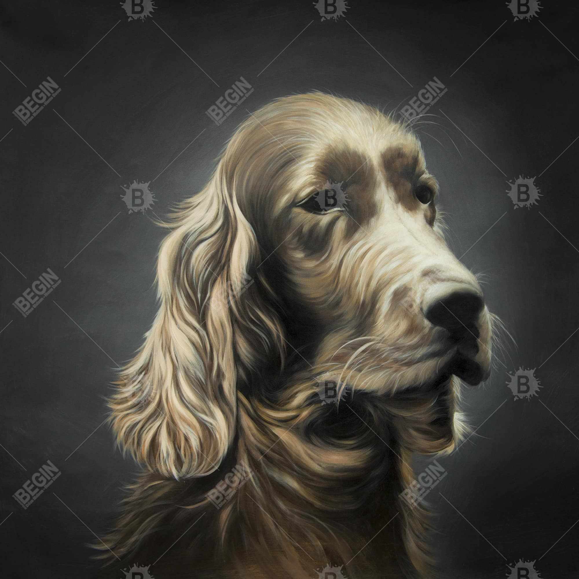 Field spaniel