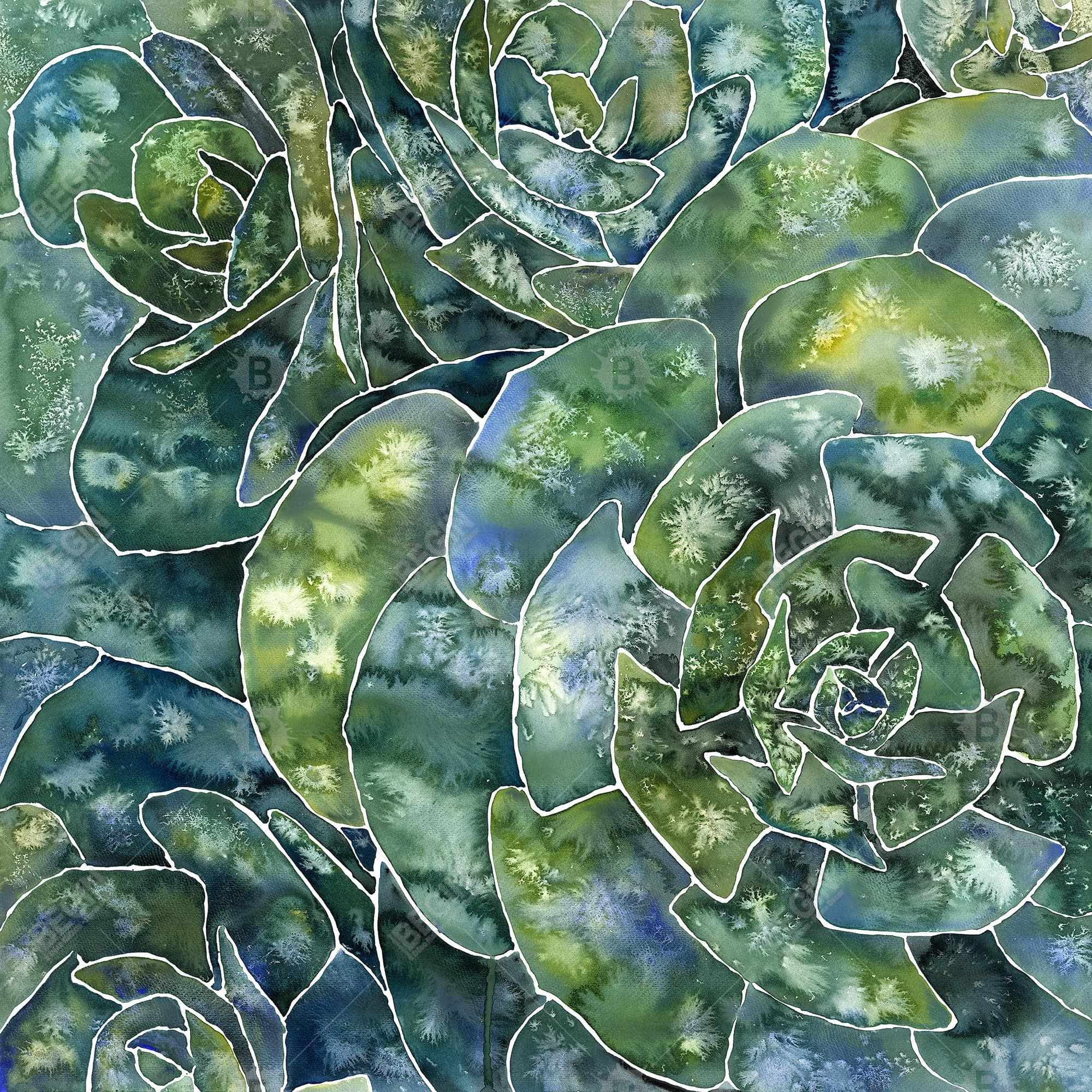 Succulents abstrait