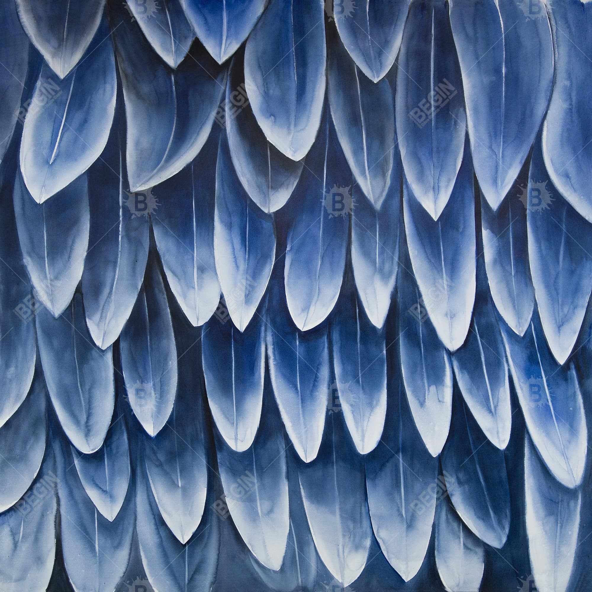 Plumage blue