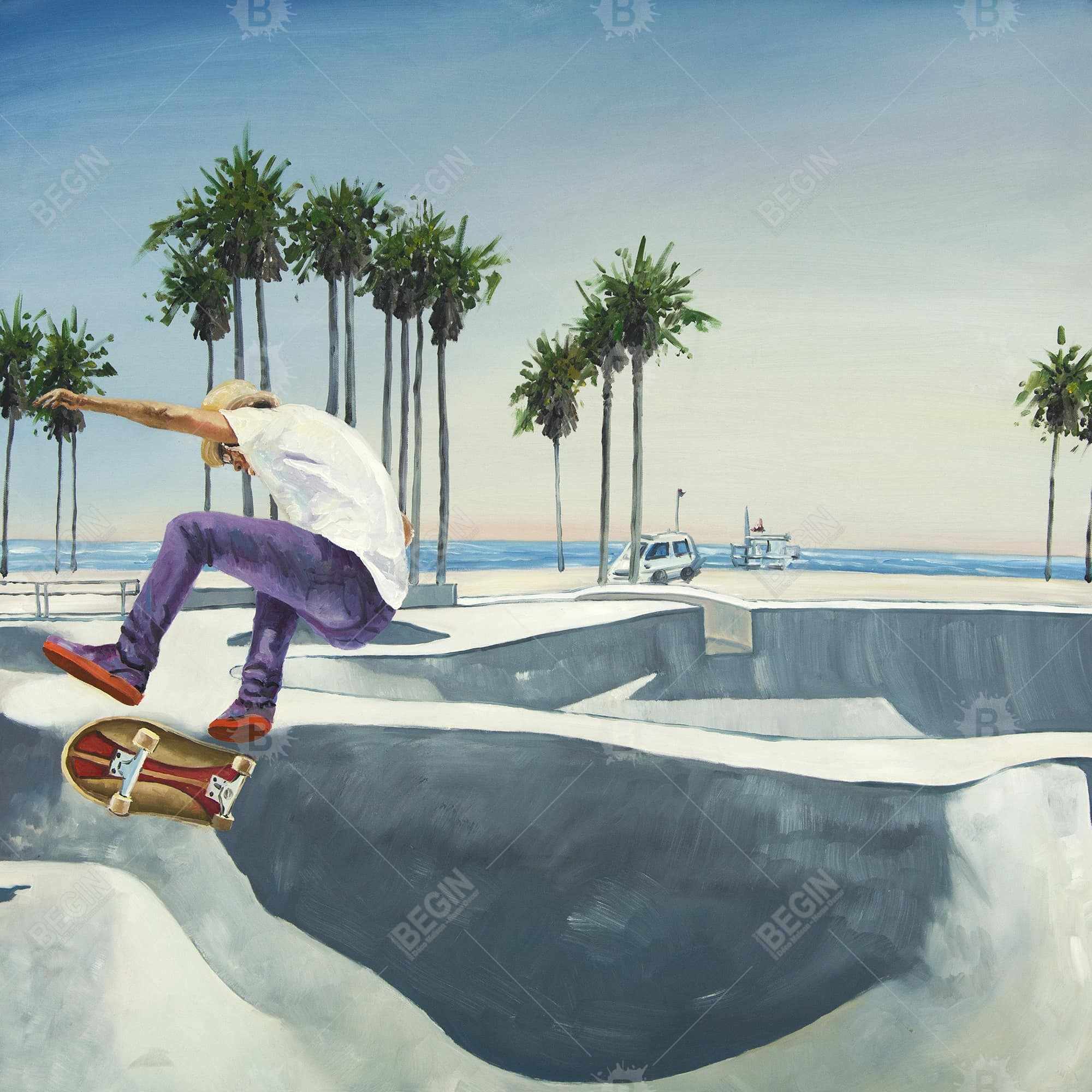 Planchodrome californie