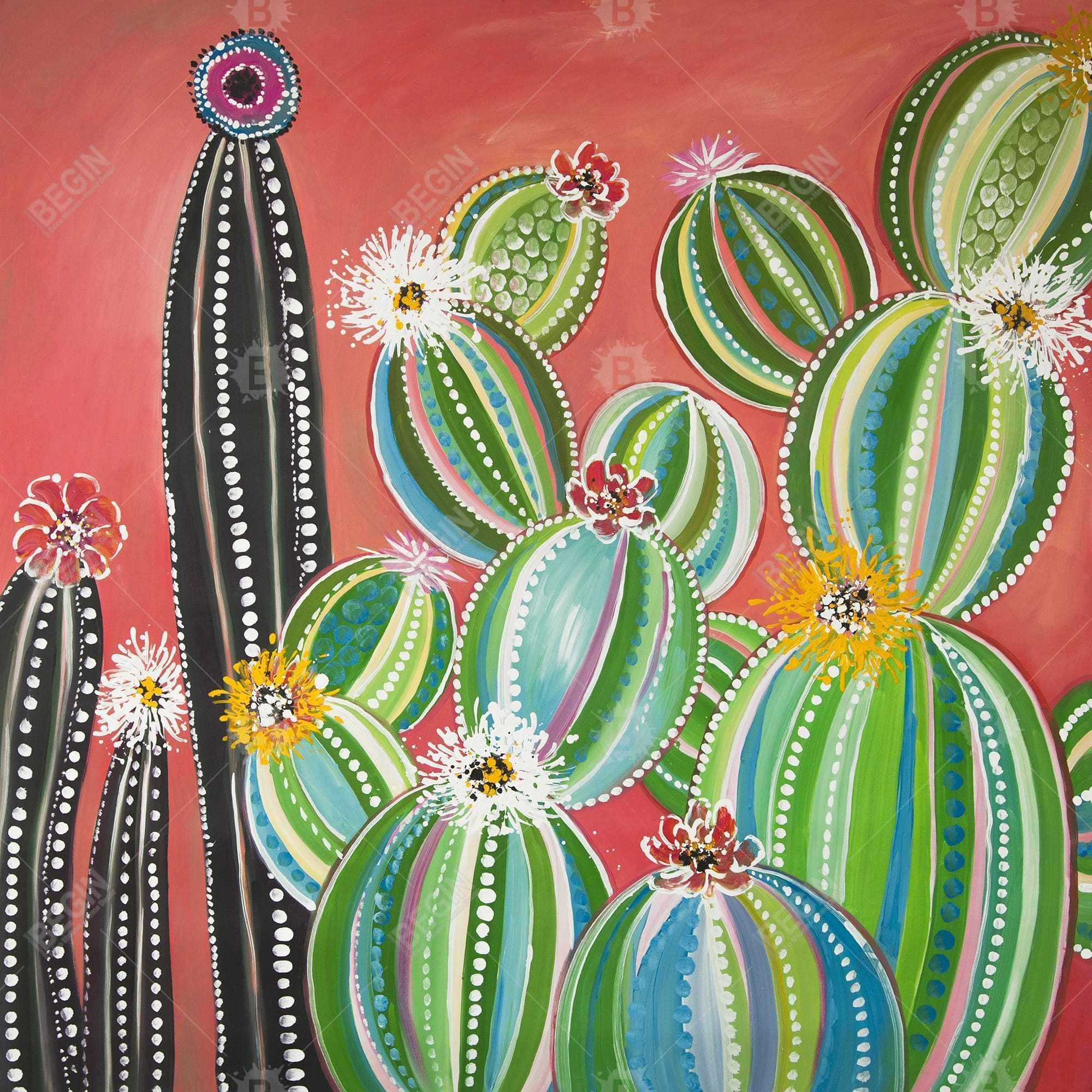 Cactus en arc-en-ciel