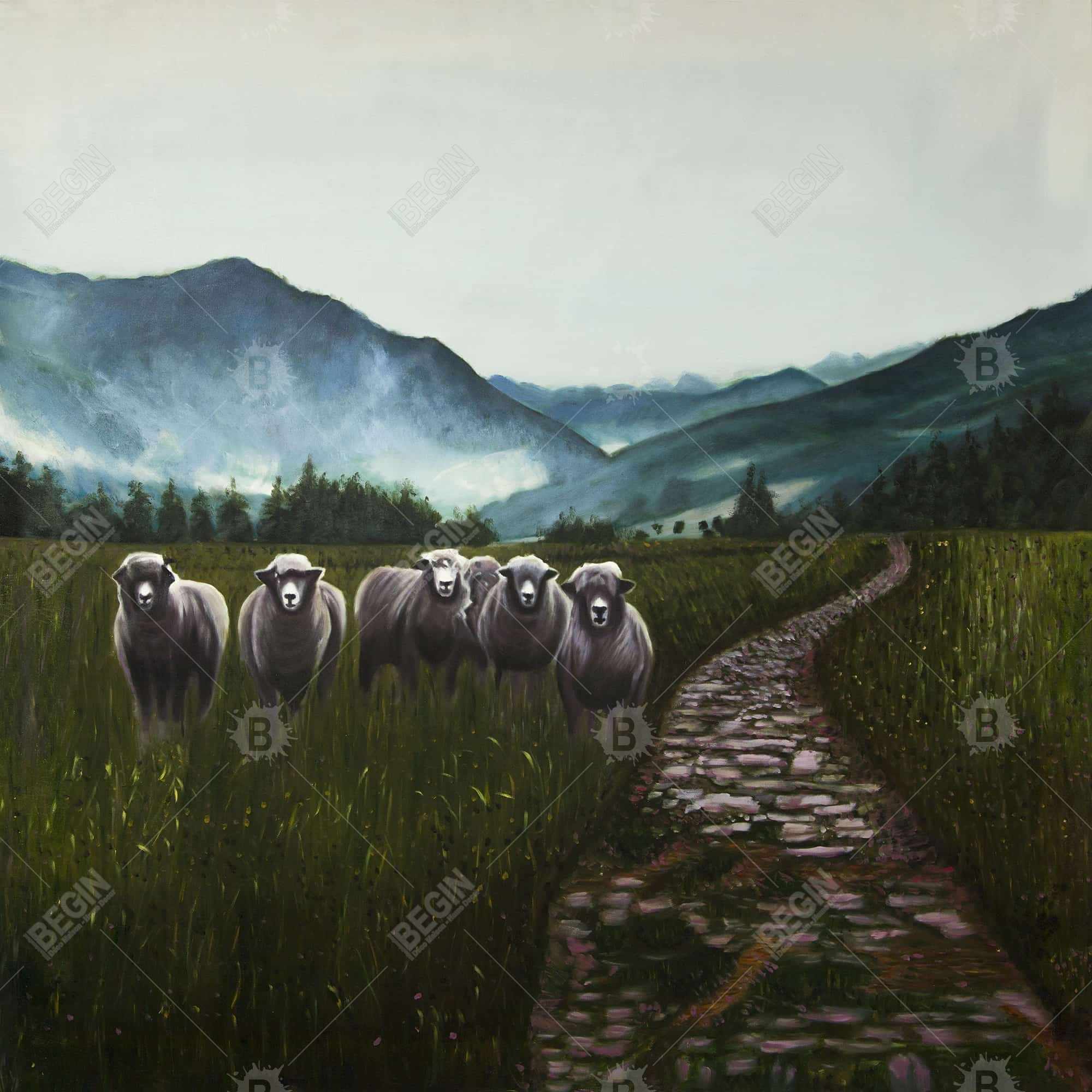 Sheep in the countryside