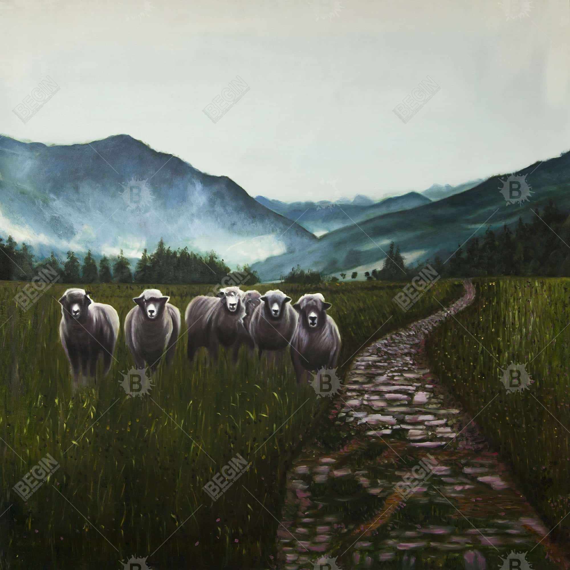 Moutons à la campagne