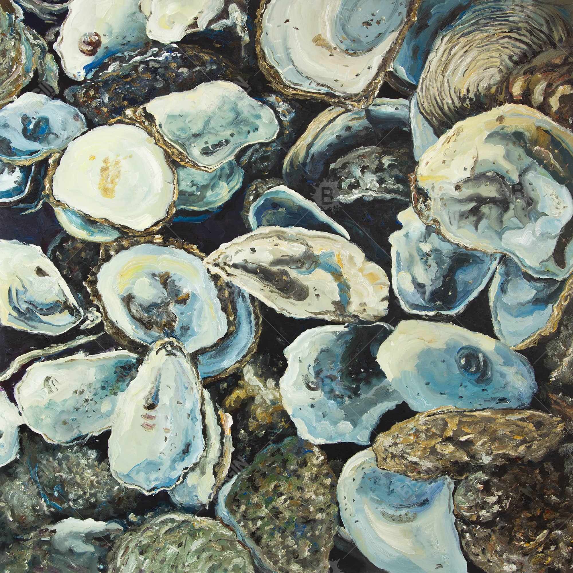 Oyster shells