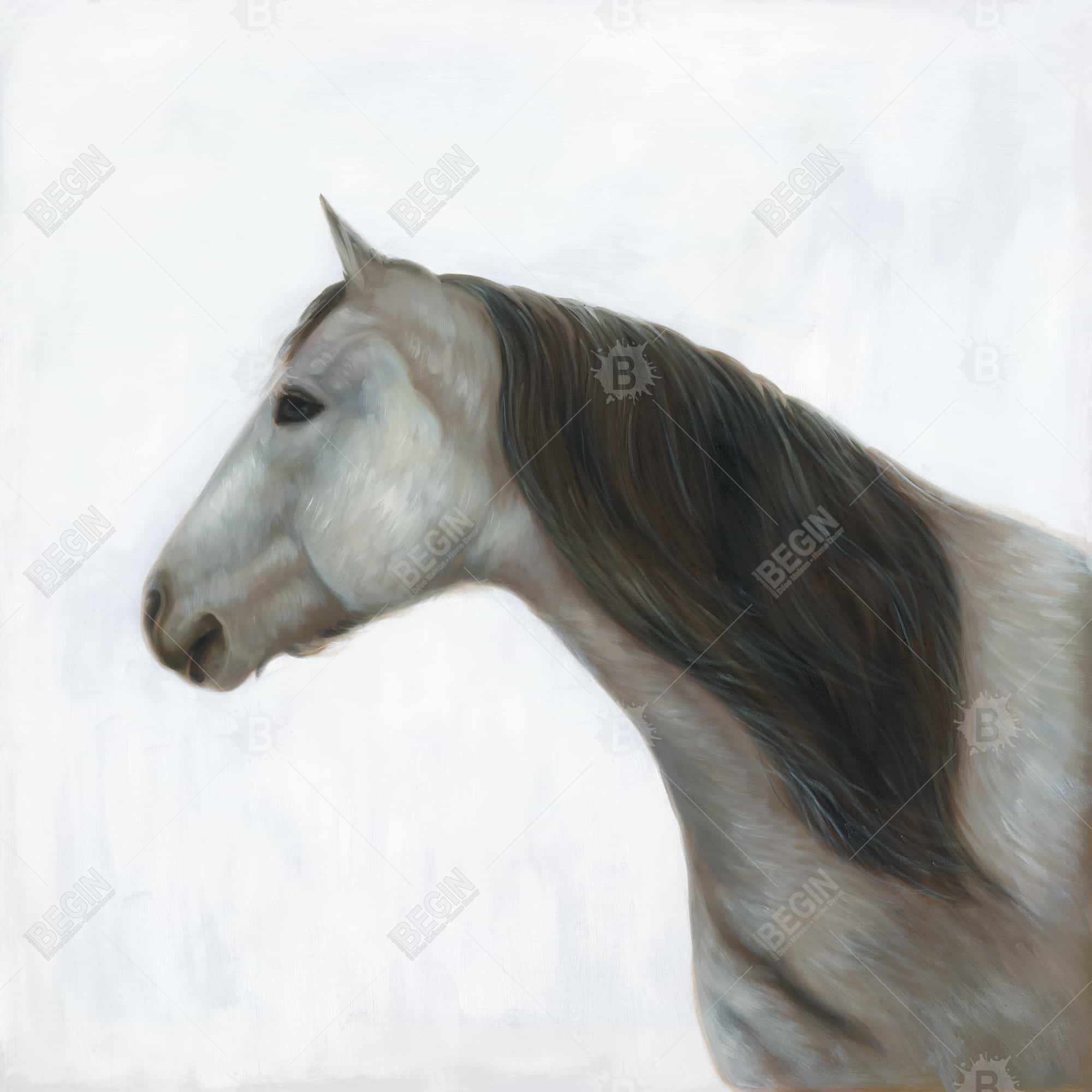 Winter horse