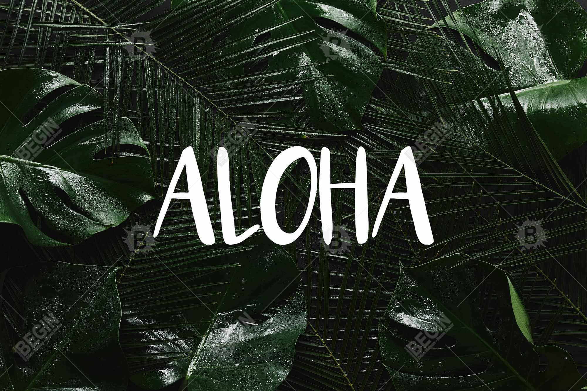 Tropical aloha
