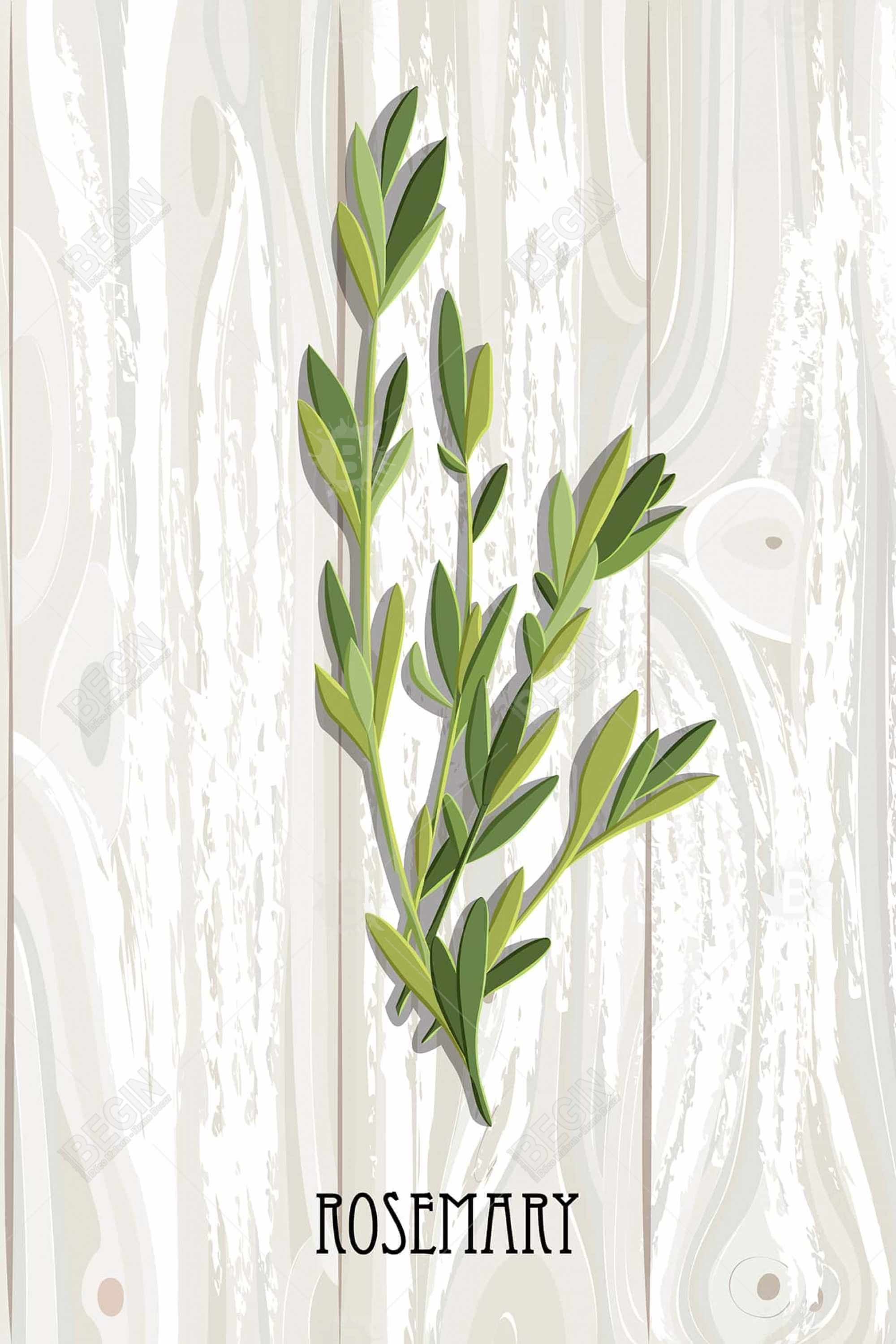 Rosemary on wood